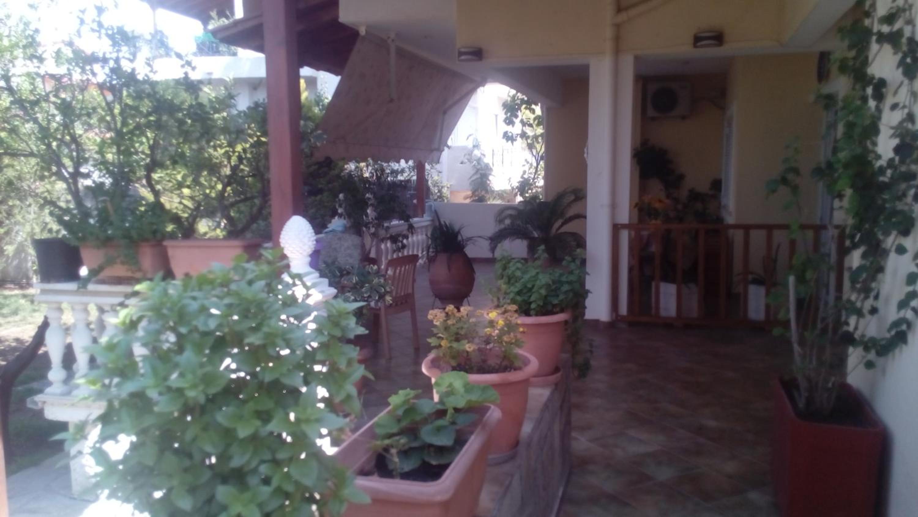 Photo 46