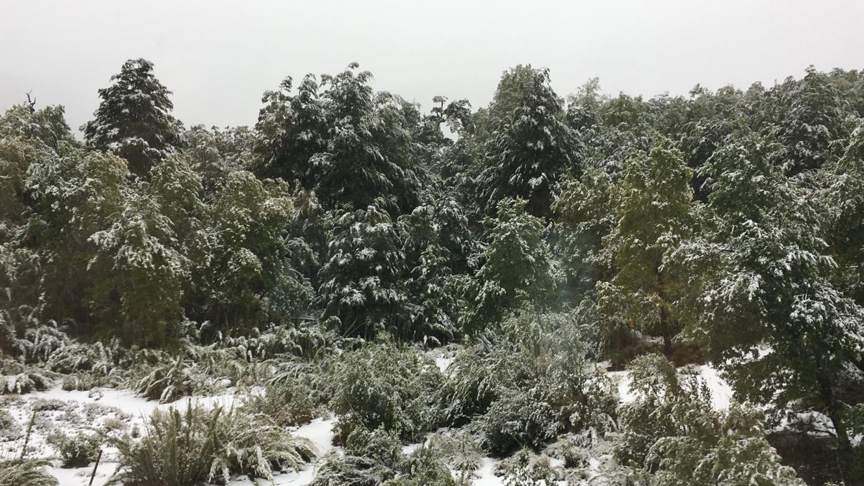 Casa Negra Nevados de Chillan