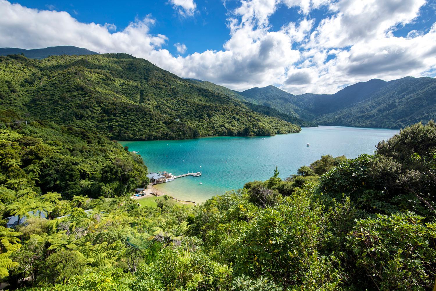 Punga Cove Resort 24