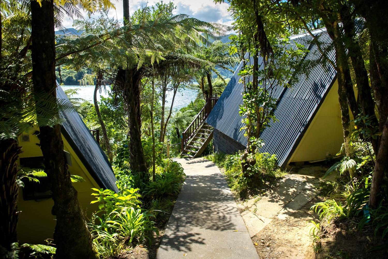 Punga Cove Resort 20