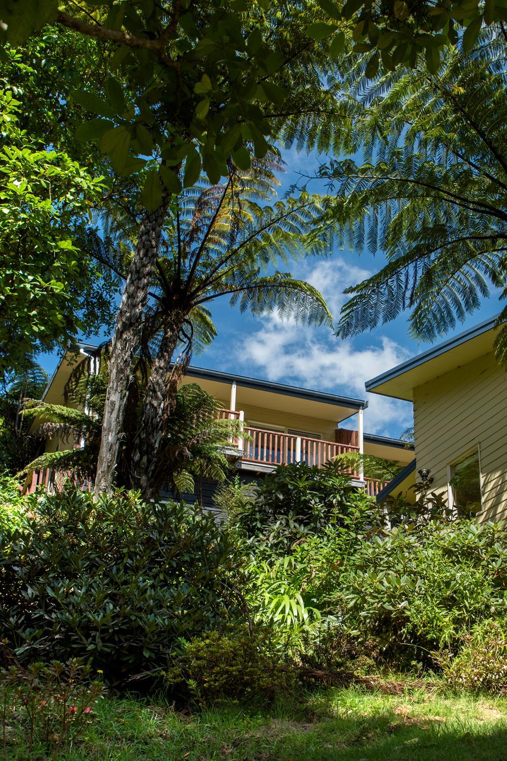Punga Cove Resort 21