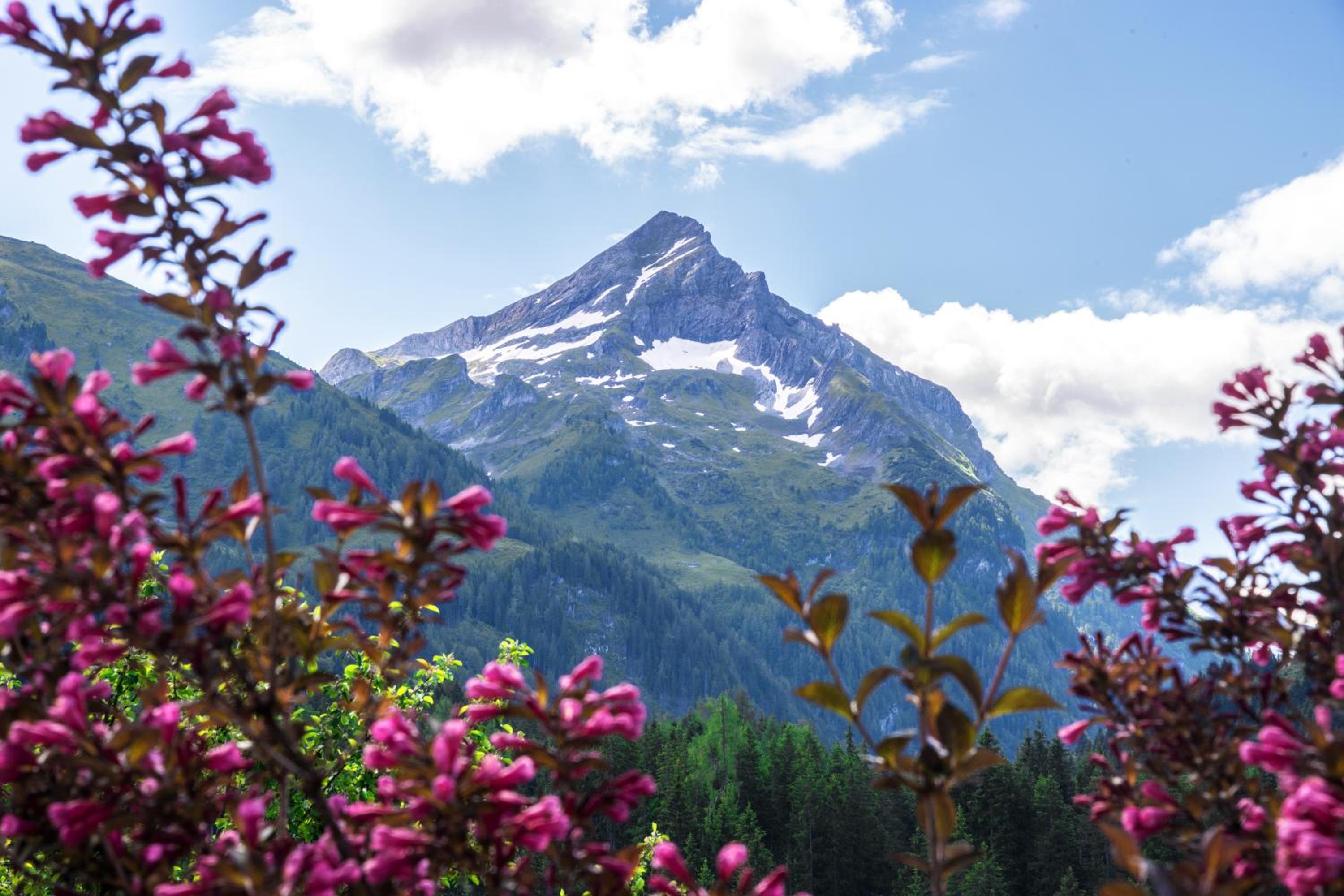 Pension Alpengruss