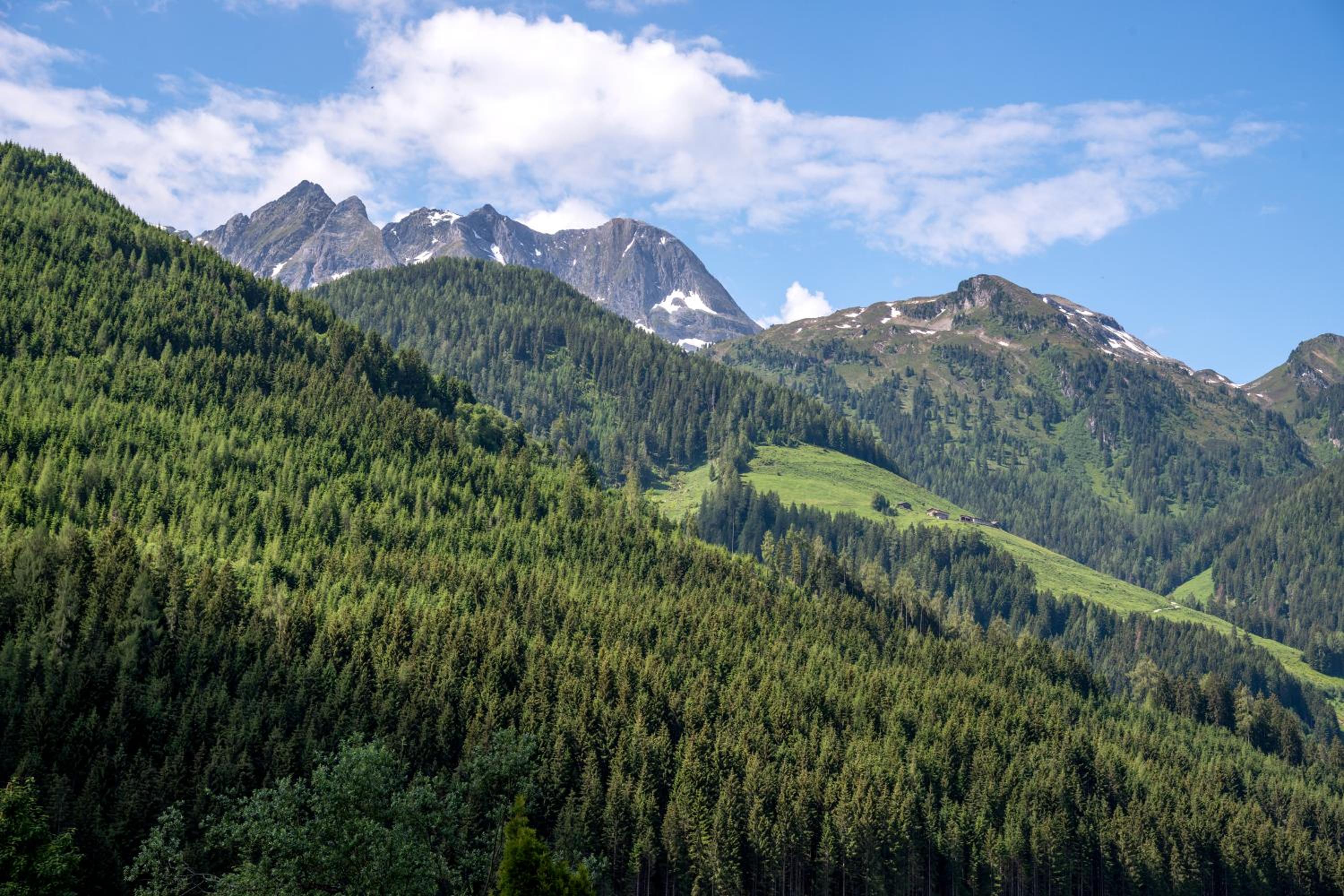 Pension Alpengruss