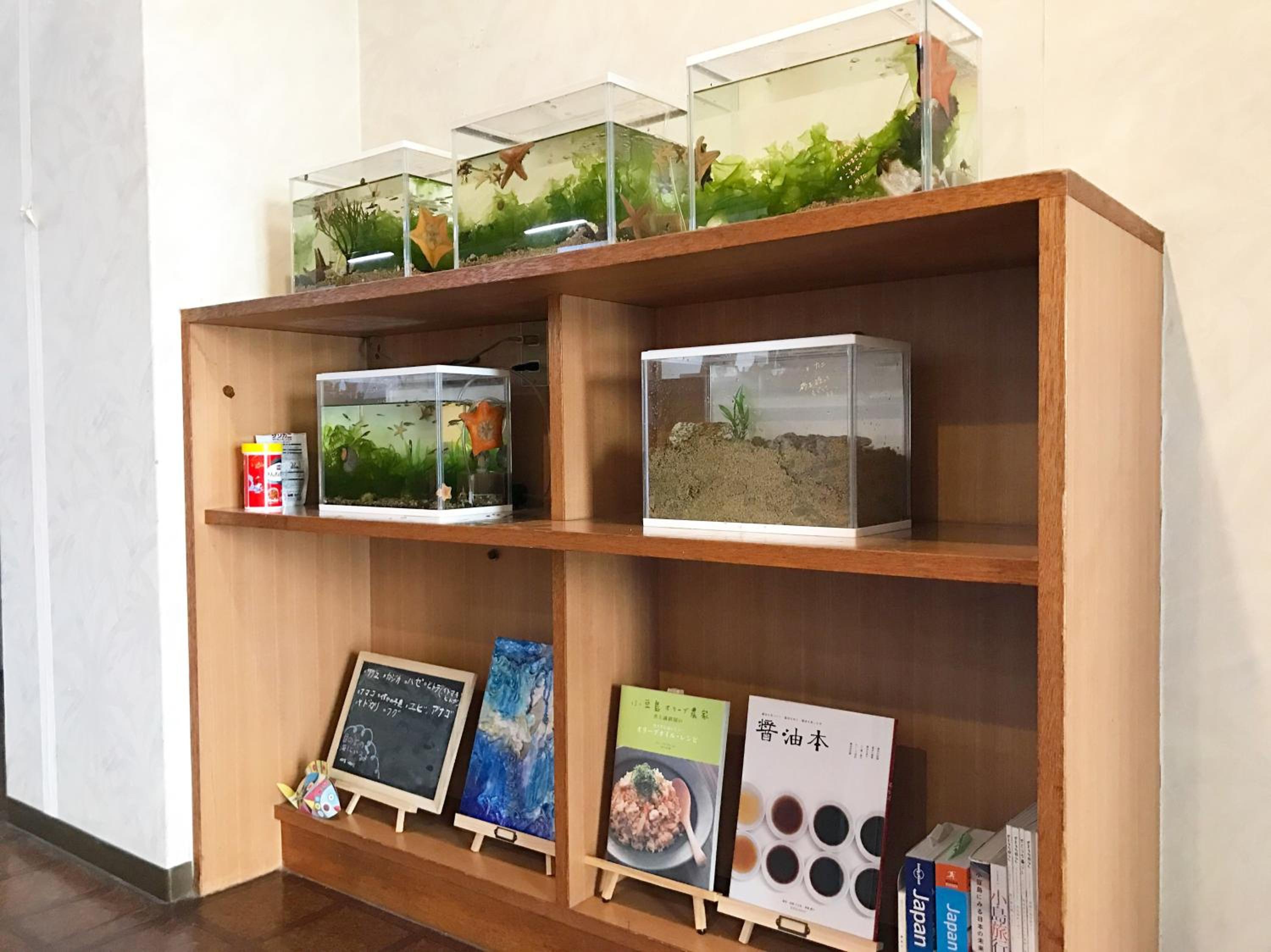 Shodoshima Olive Youth Hostel