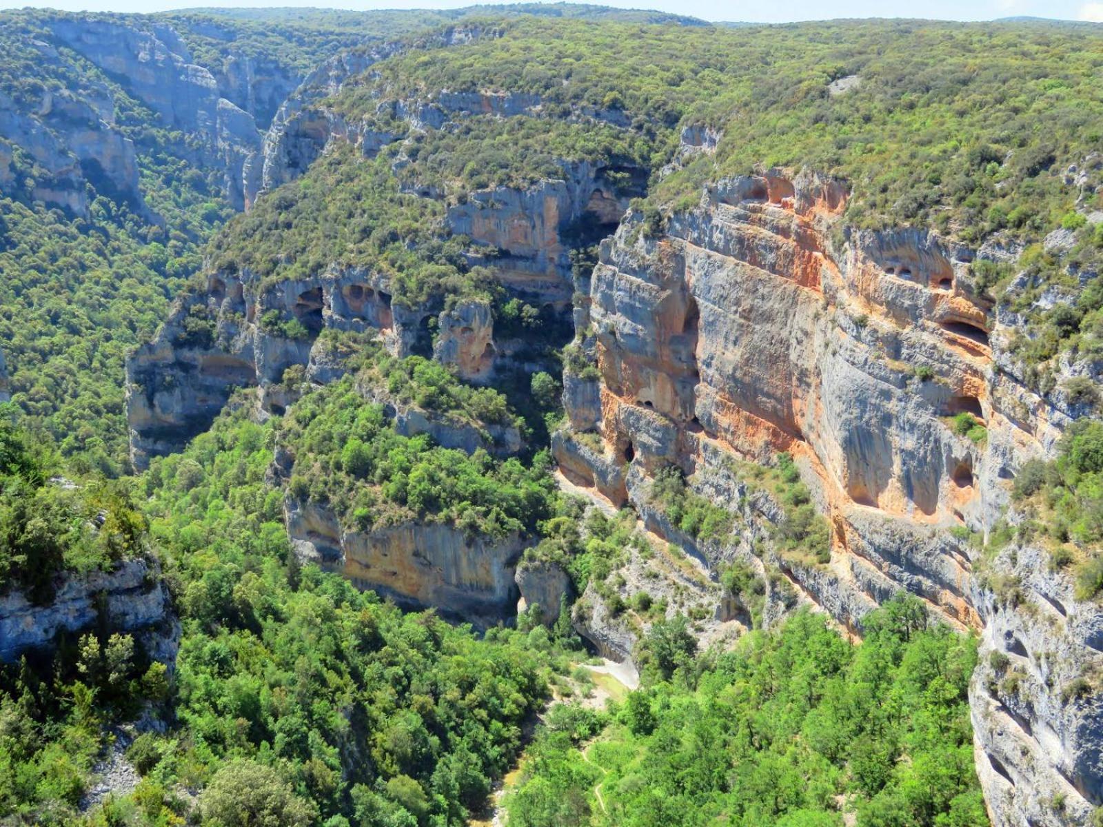 Guara Rural