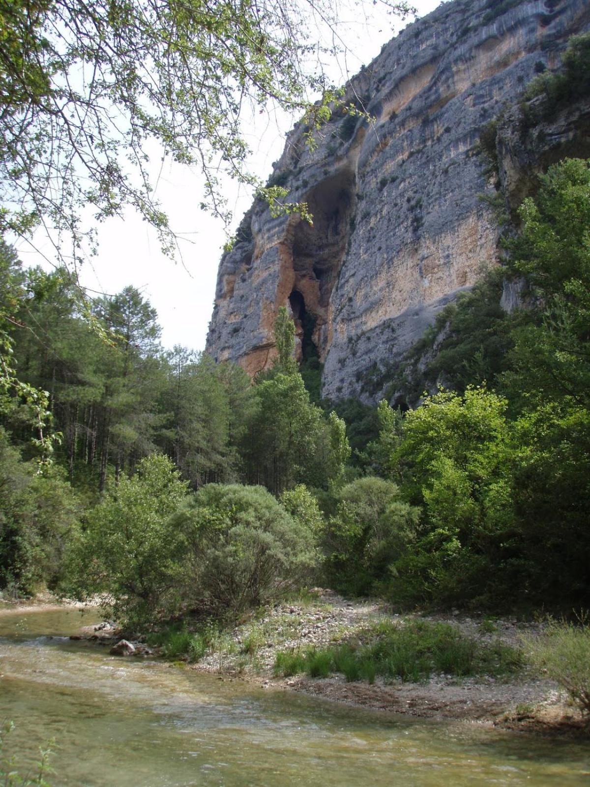 Guara Rural