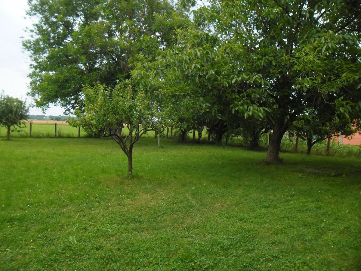 children's play area