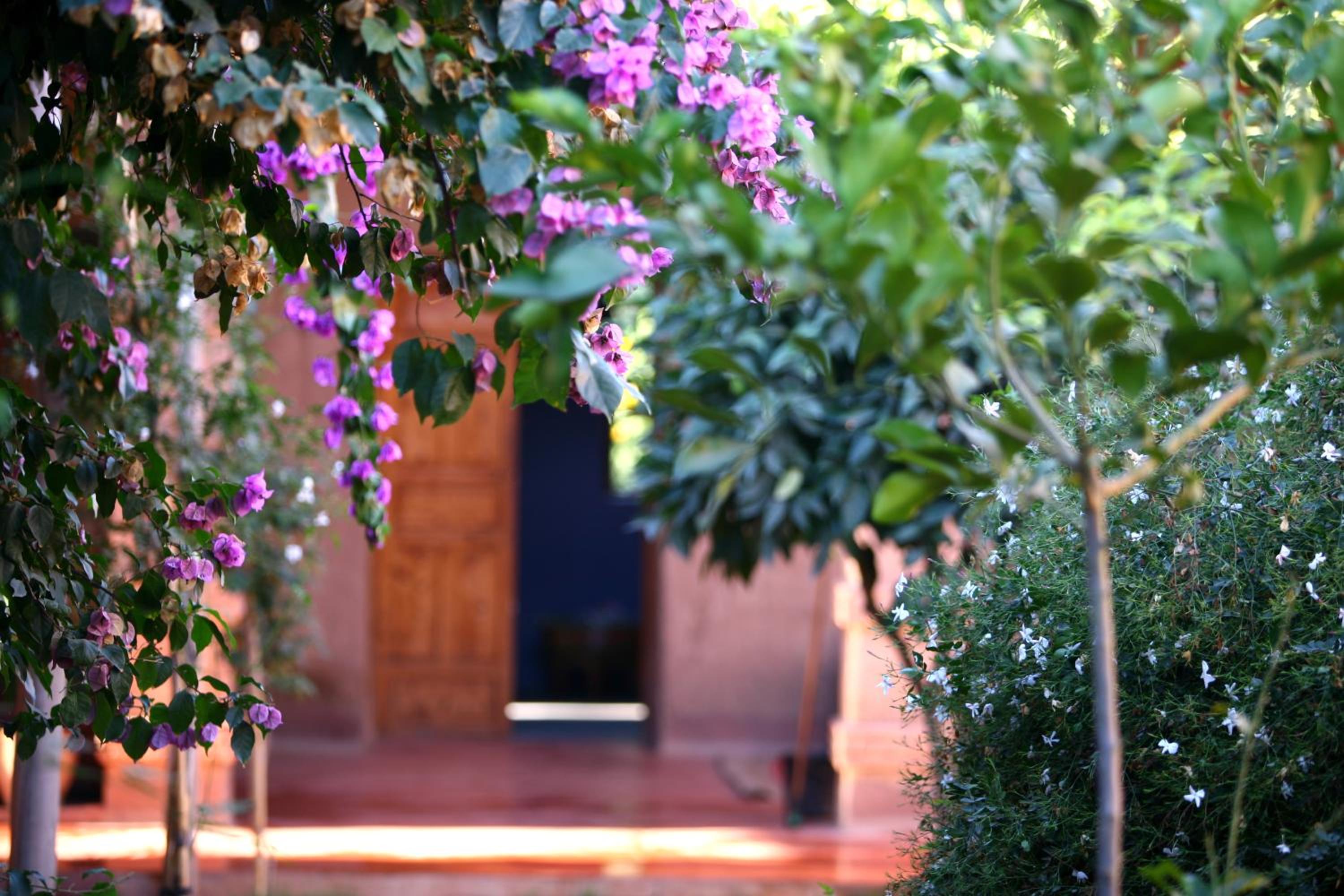 La Ferme Berbere Adult only