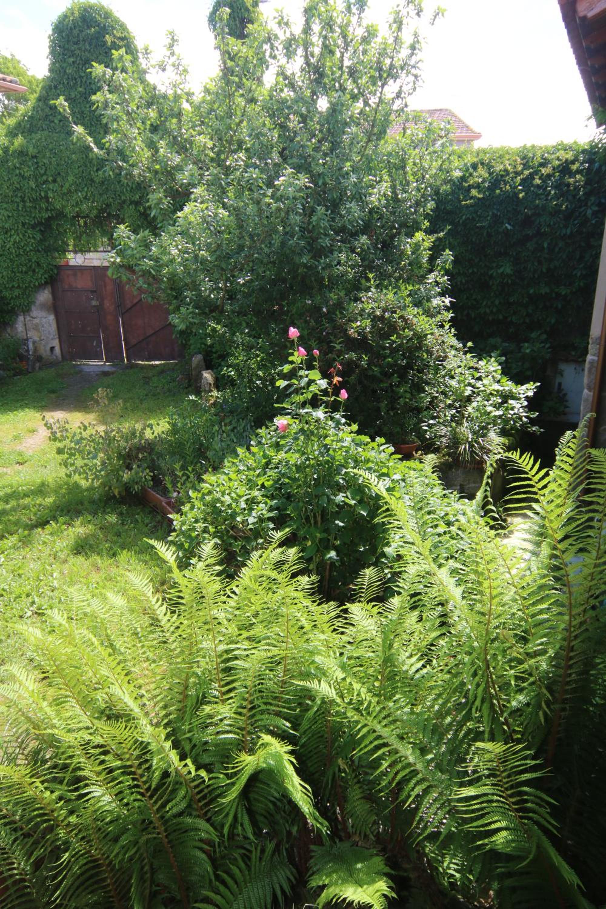 Photo 36