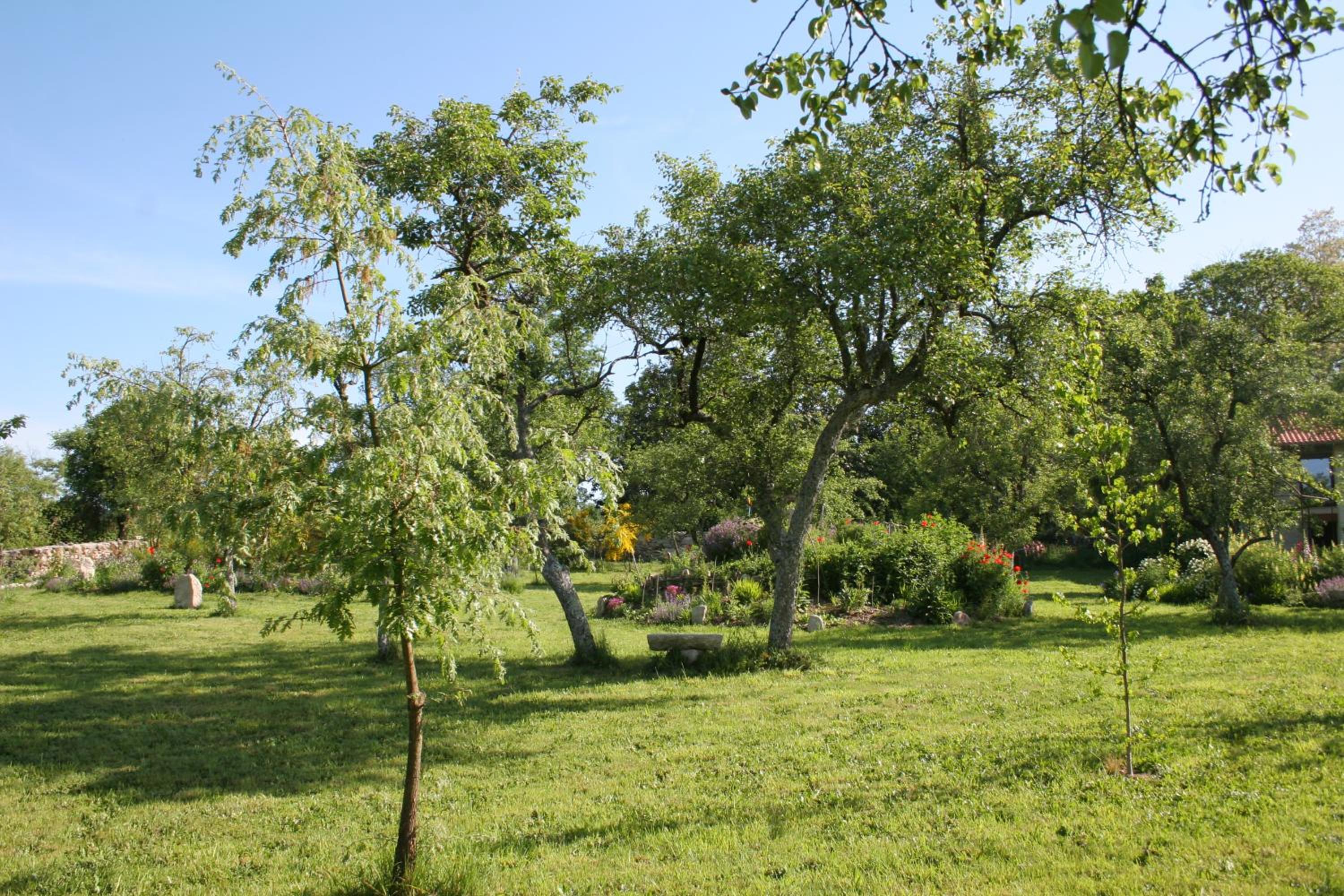 Photo 28