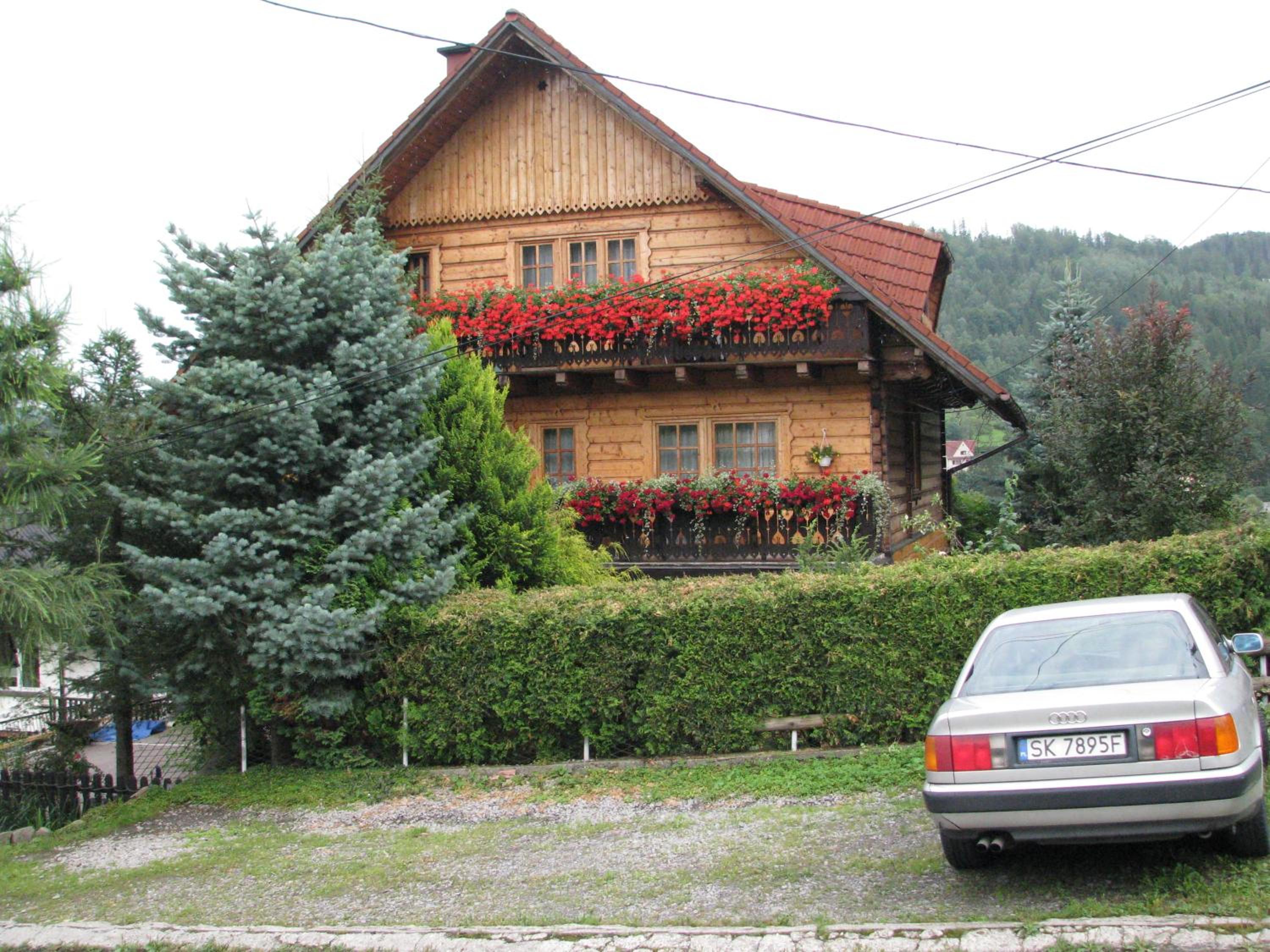 Photo 11