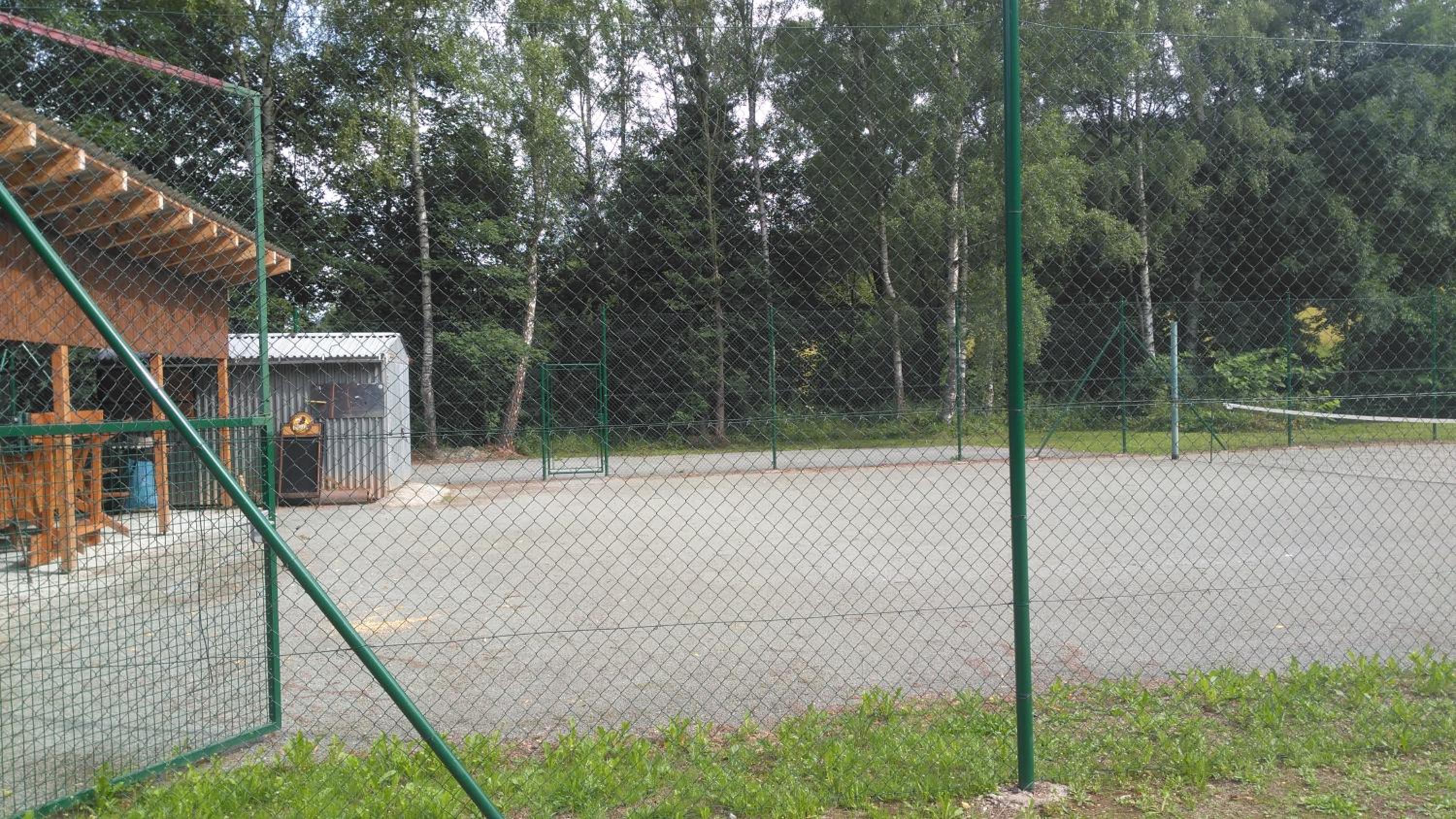 Photo 41