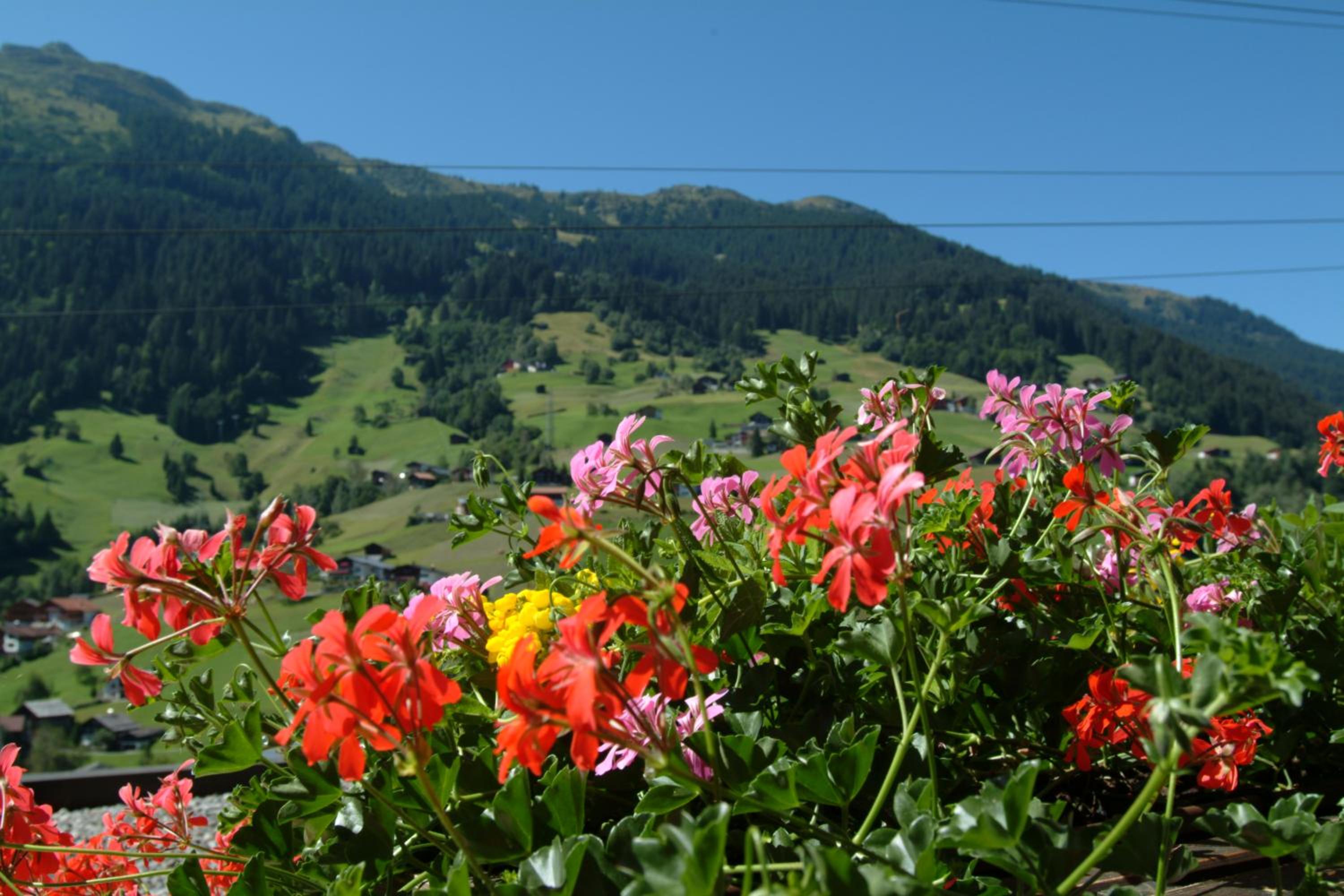 Photo 40
