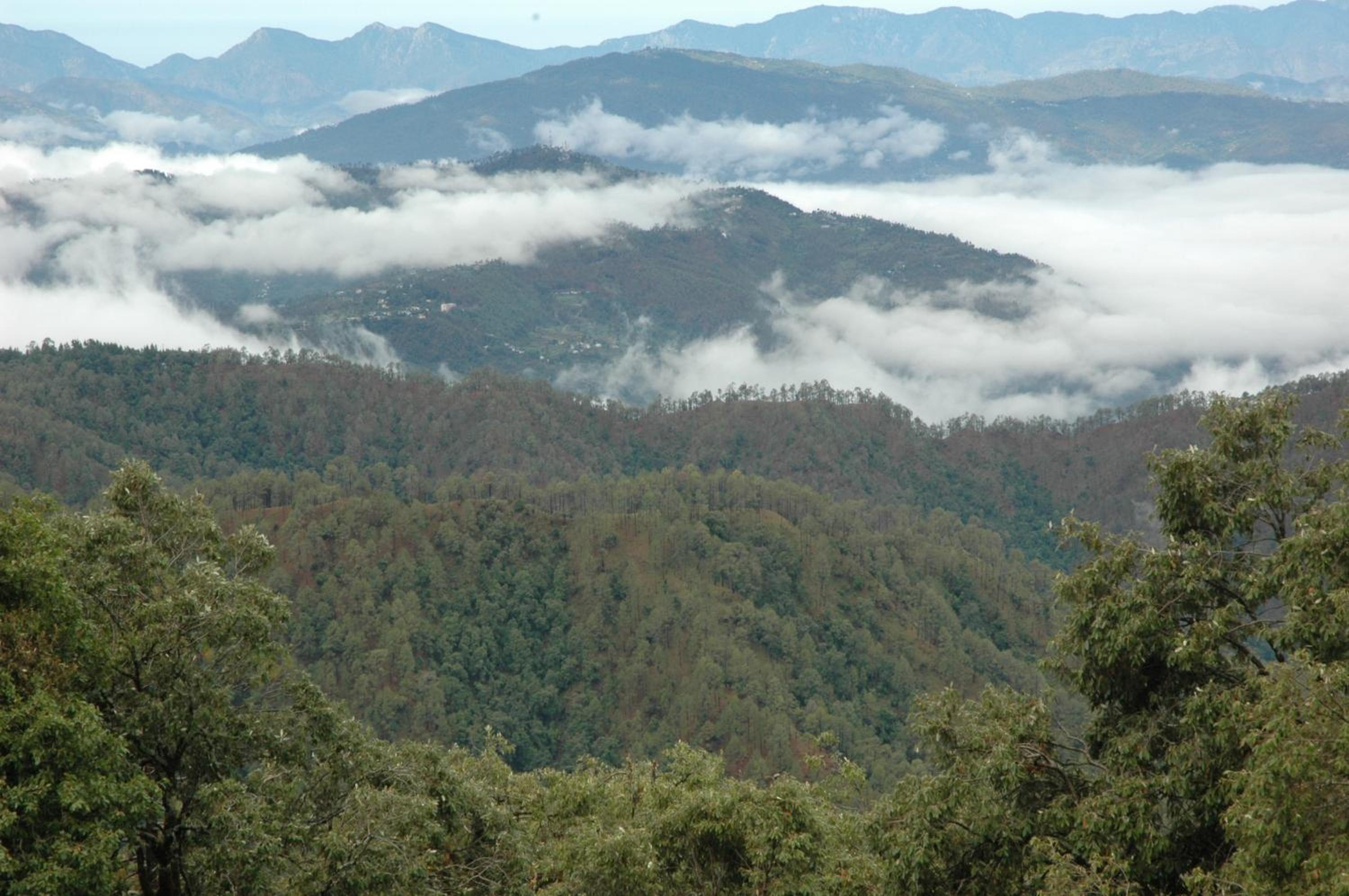Binsar Forest Retreat view 3