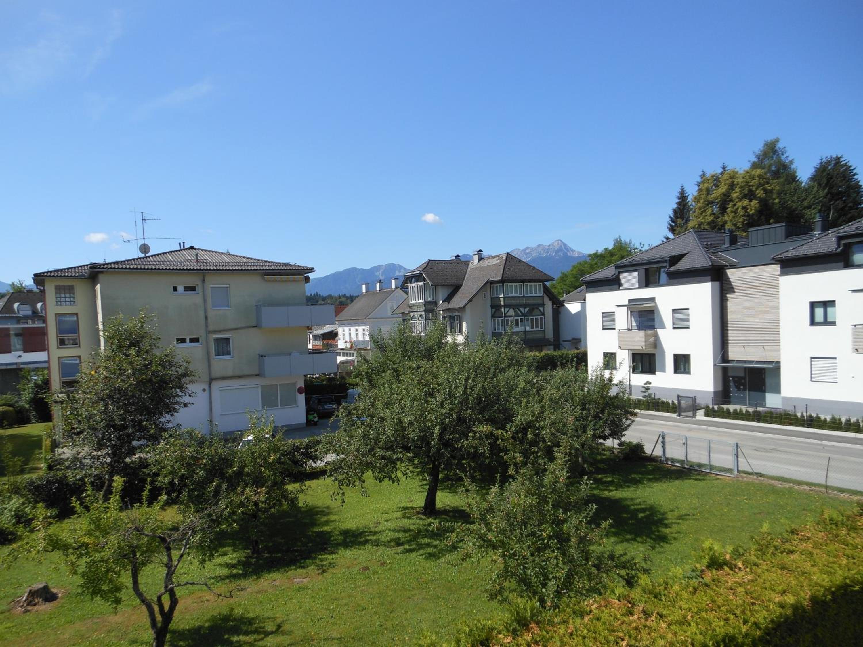Seebär Velden