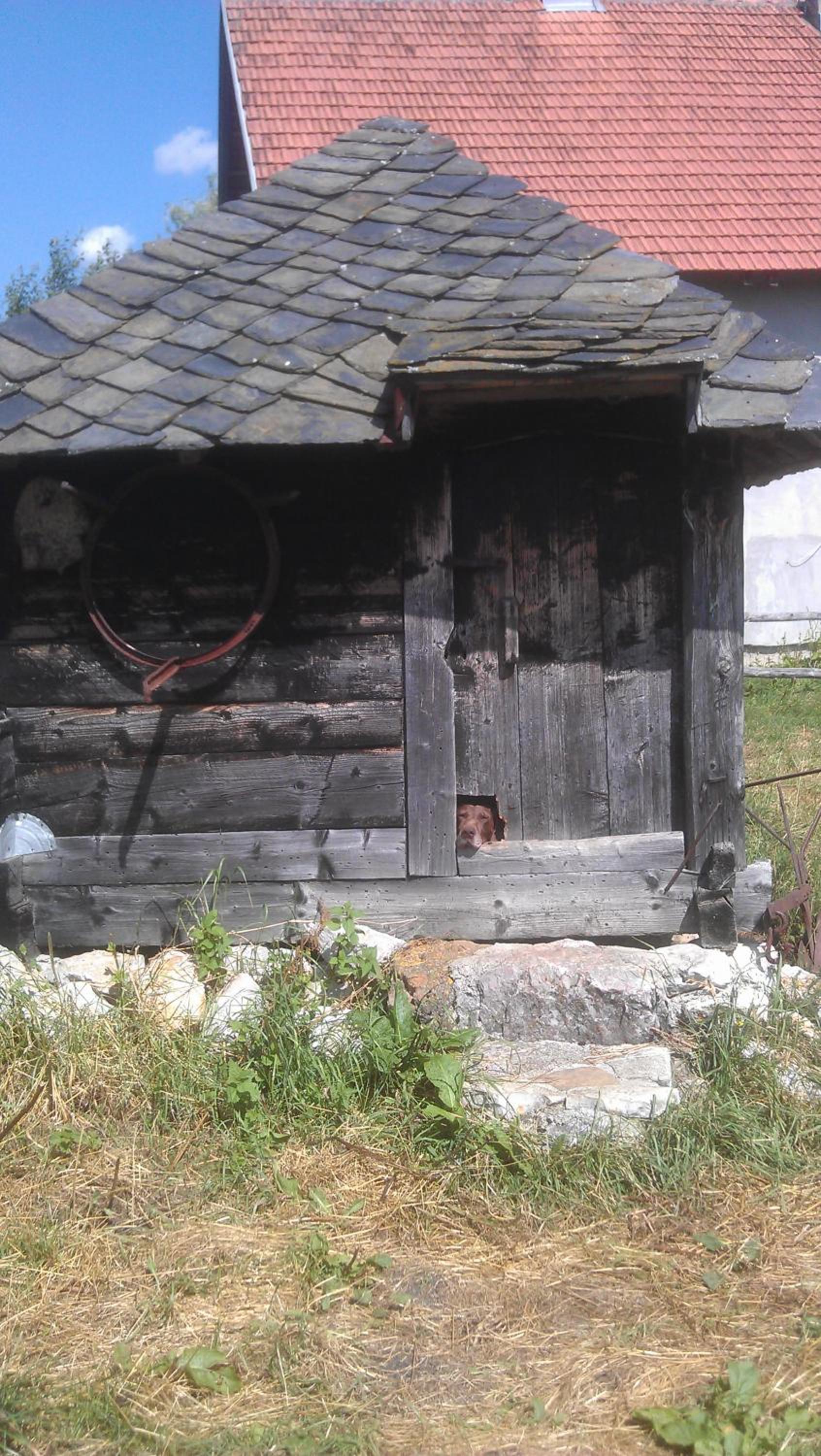 Photo 26