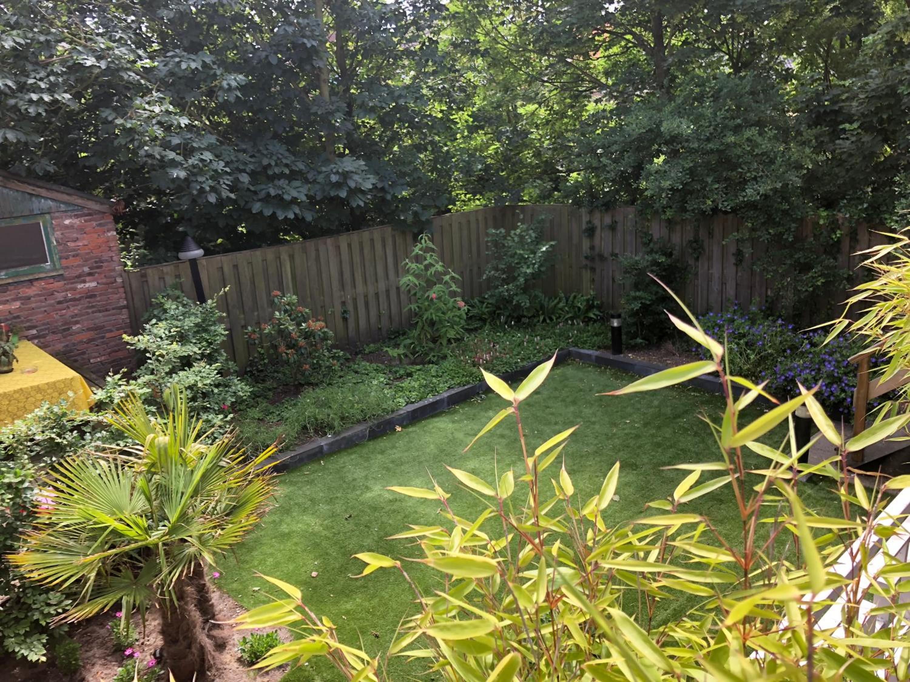 Photo 41