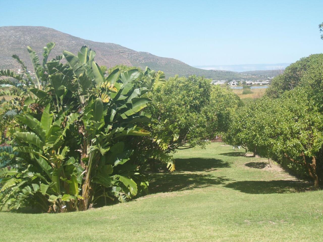 Horizon Cottages