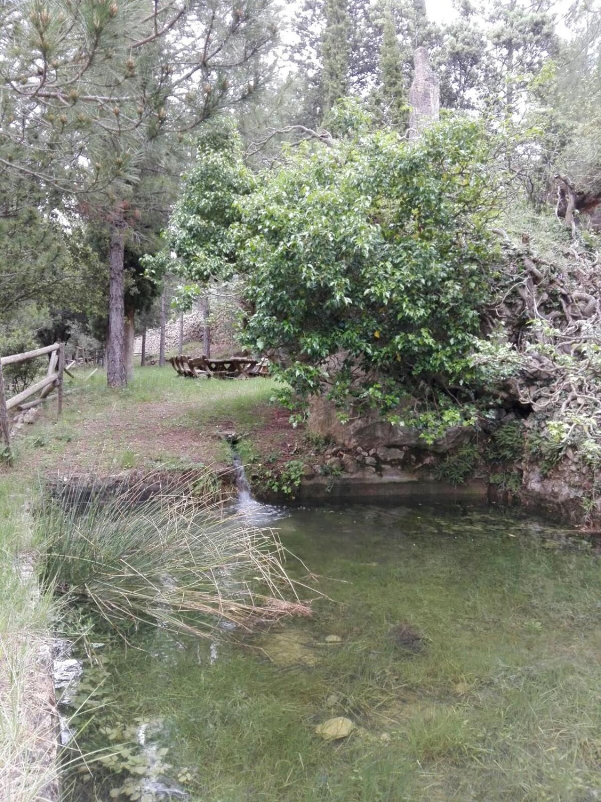 Photo 14