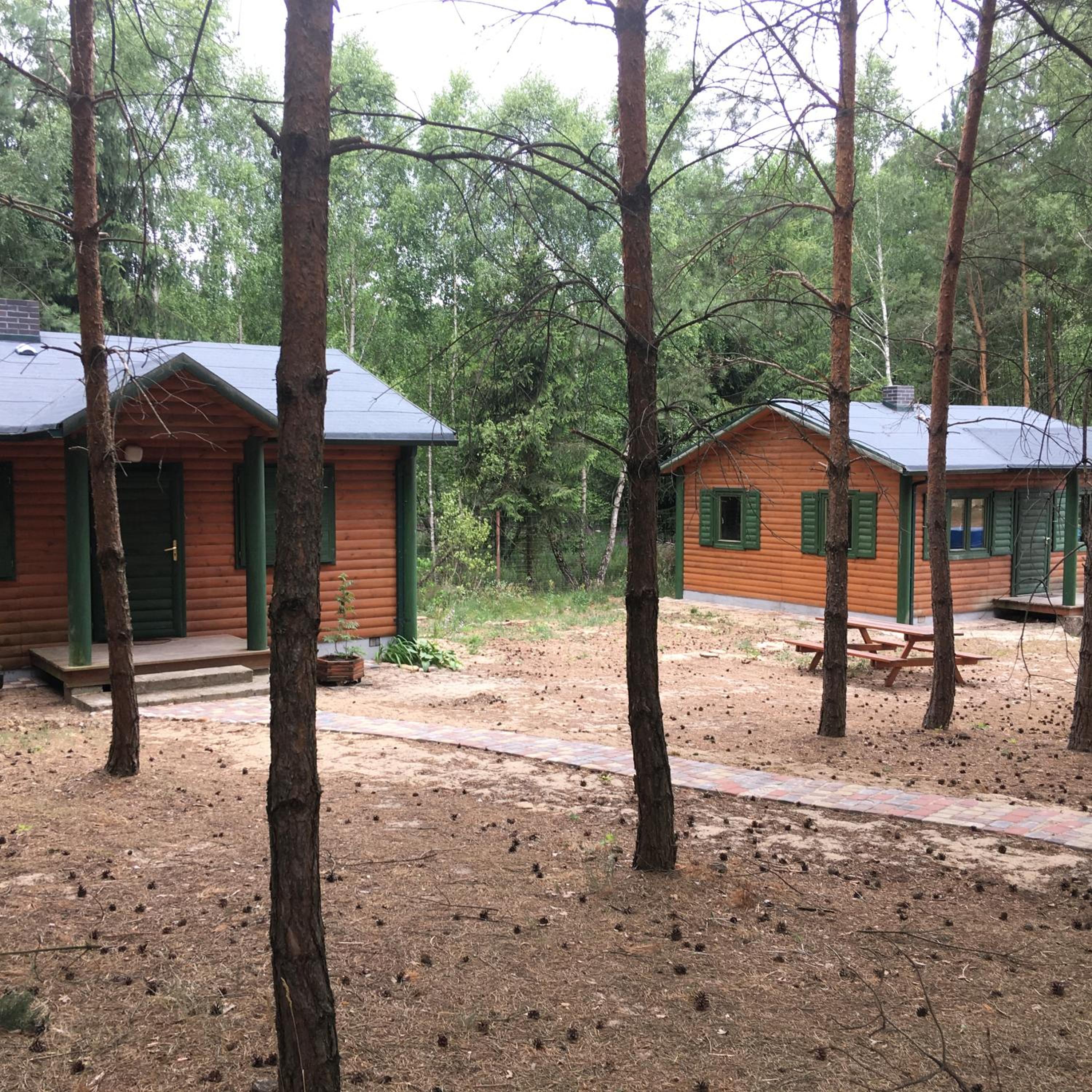 Photo 14