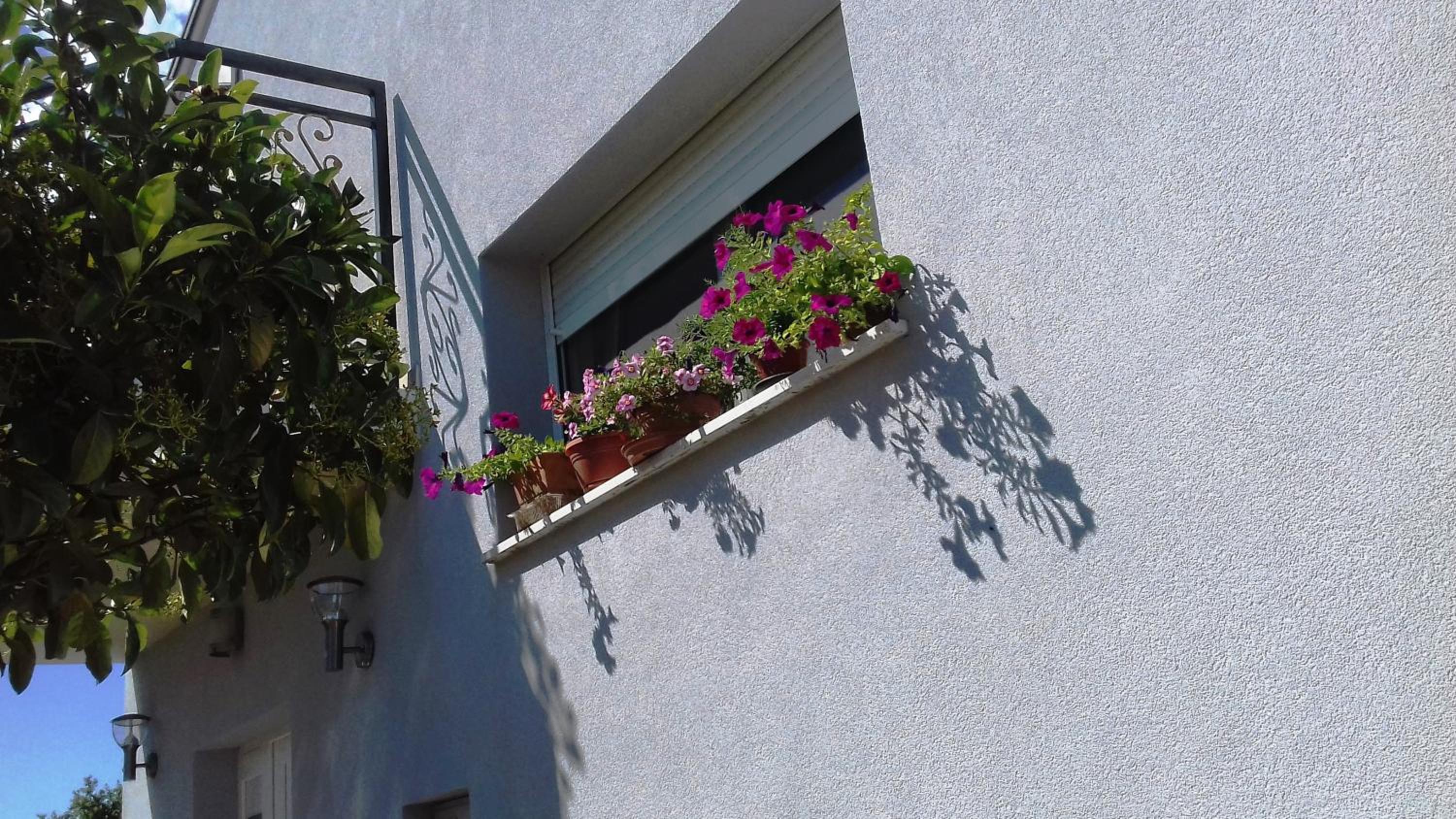 Apartment Lavander 01