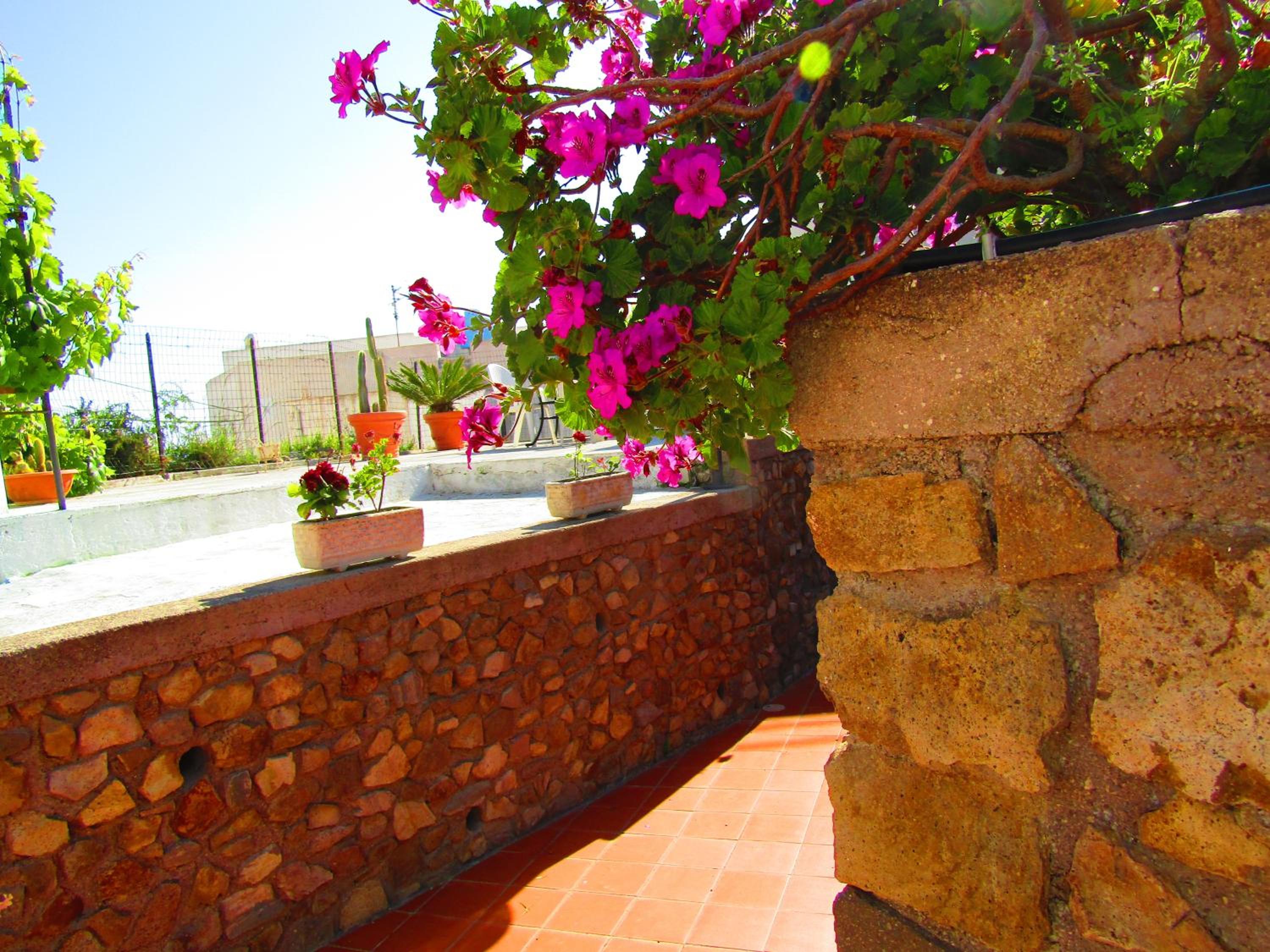 La Vite en Ponza — balance & terrace