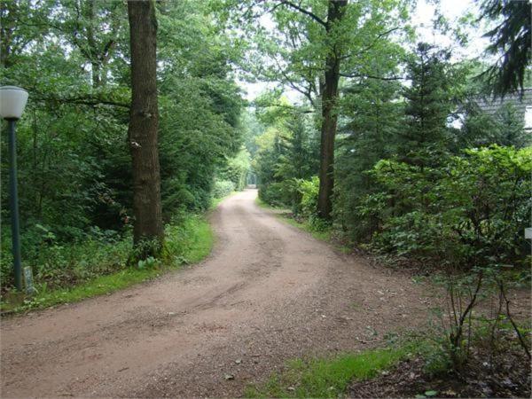 Photo 46