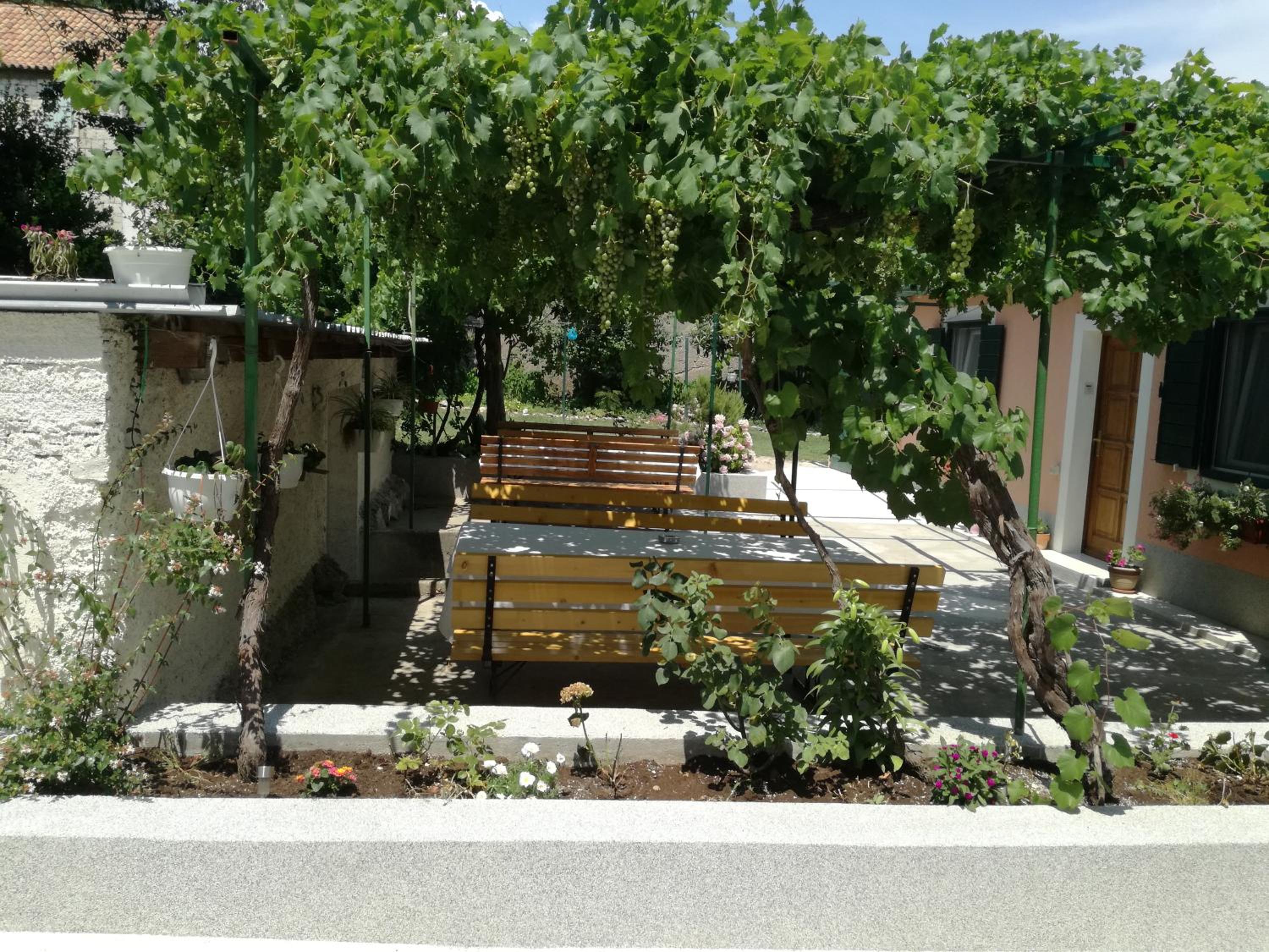 Photo 23