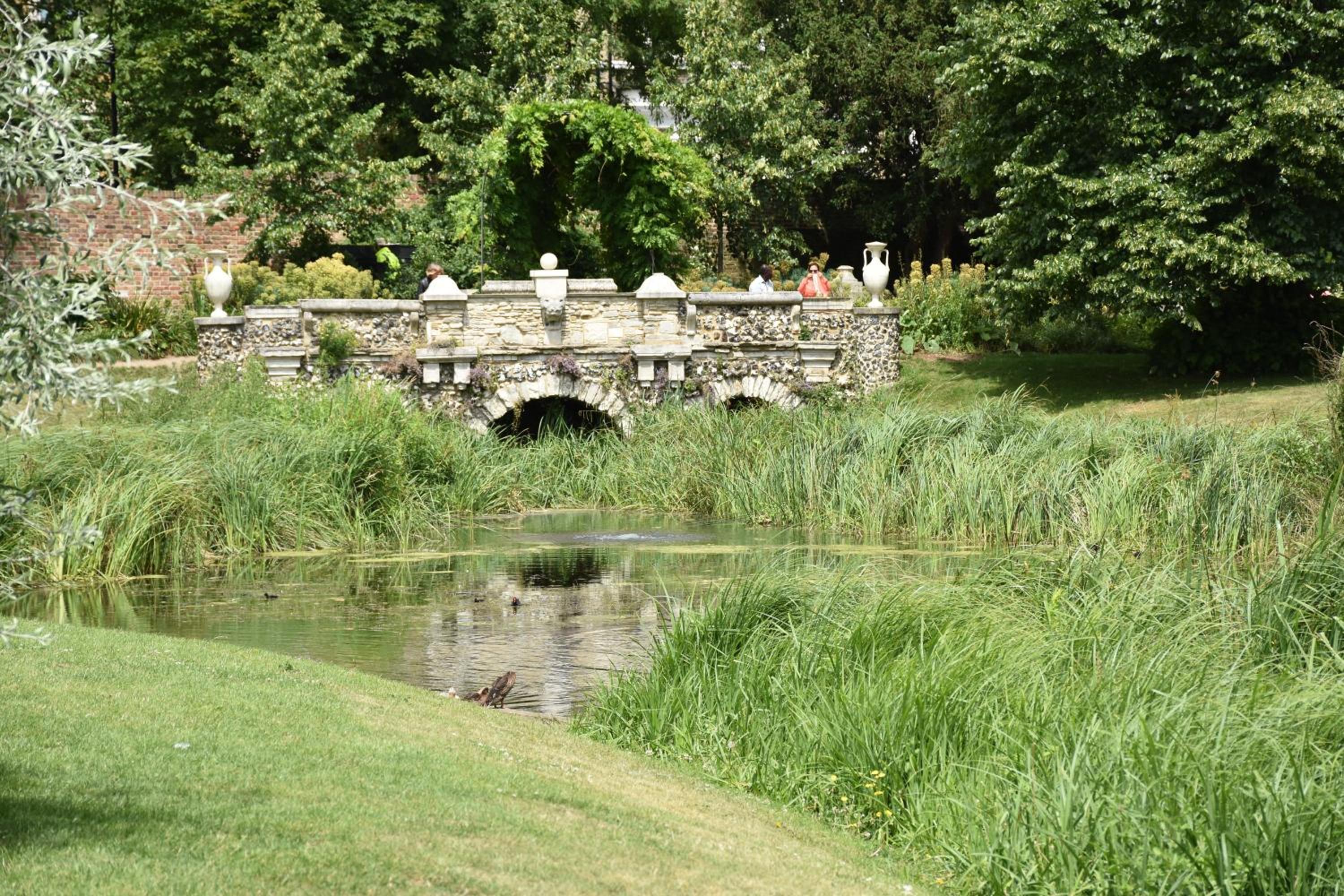 garden