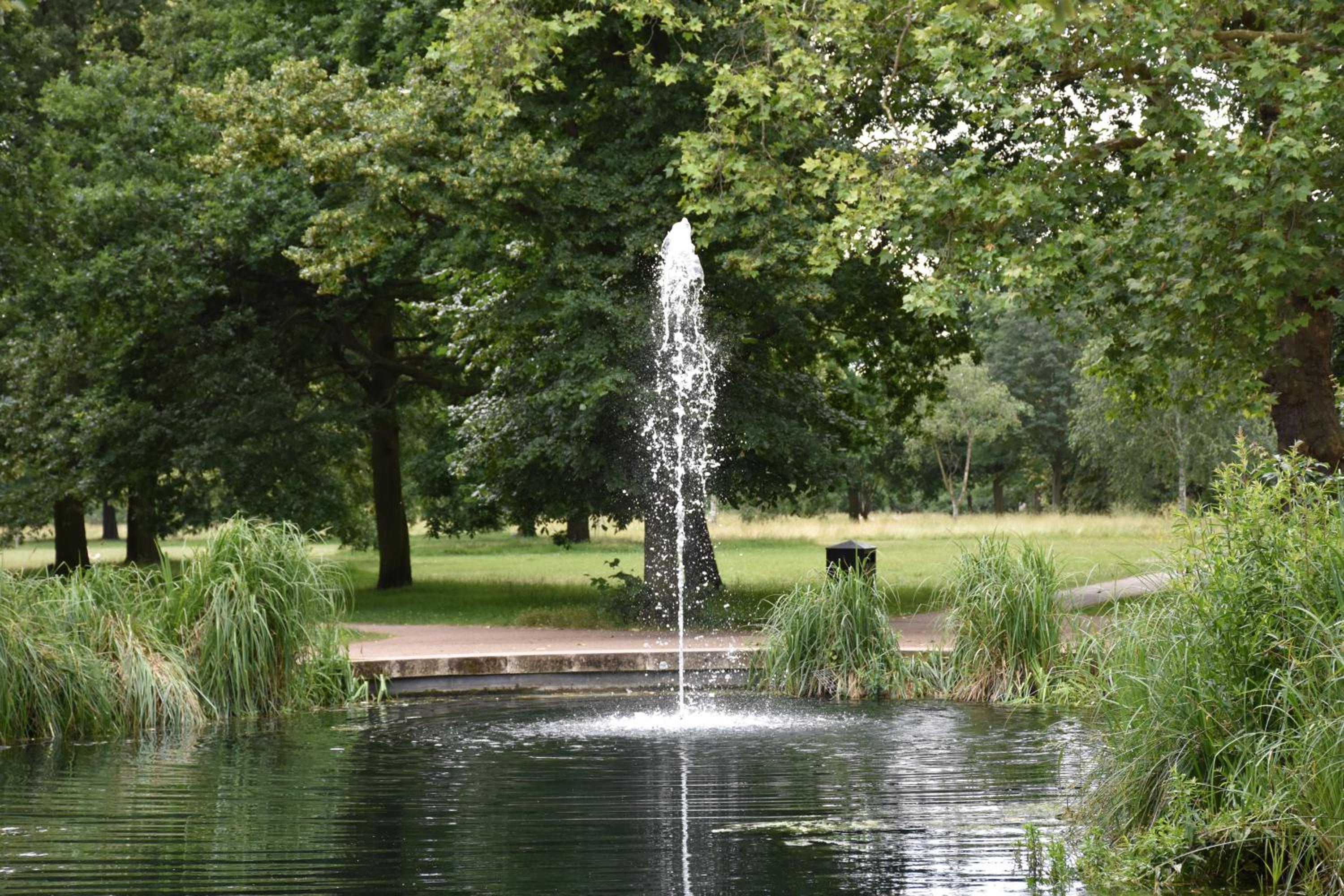 garden