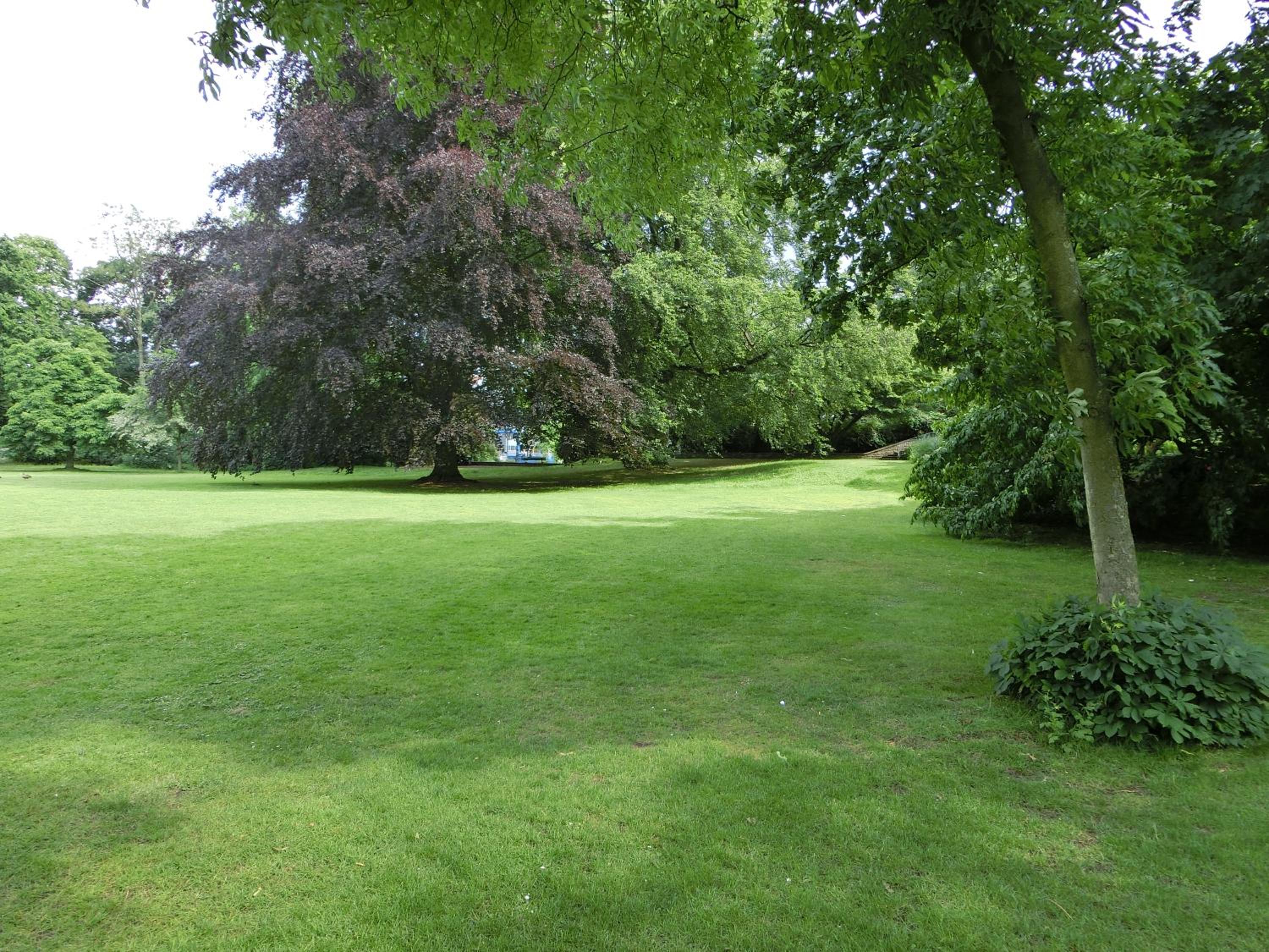 Photo 12