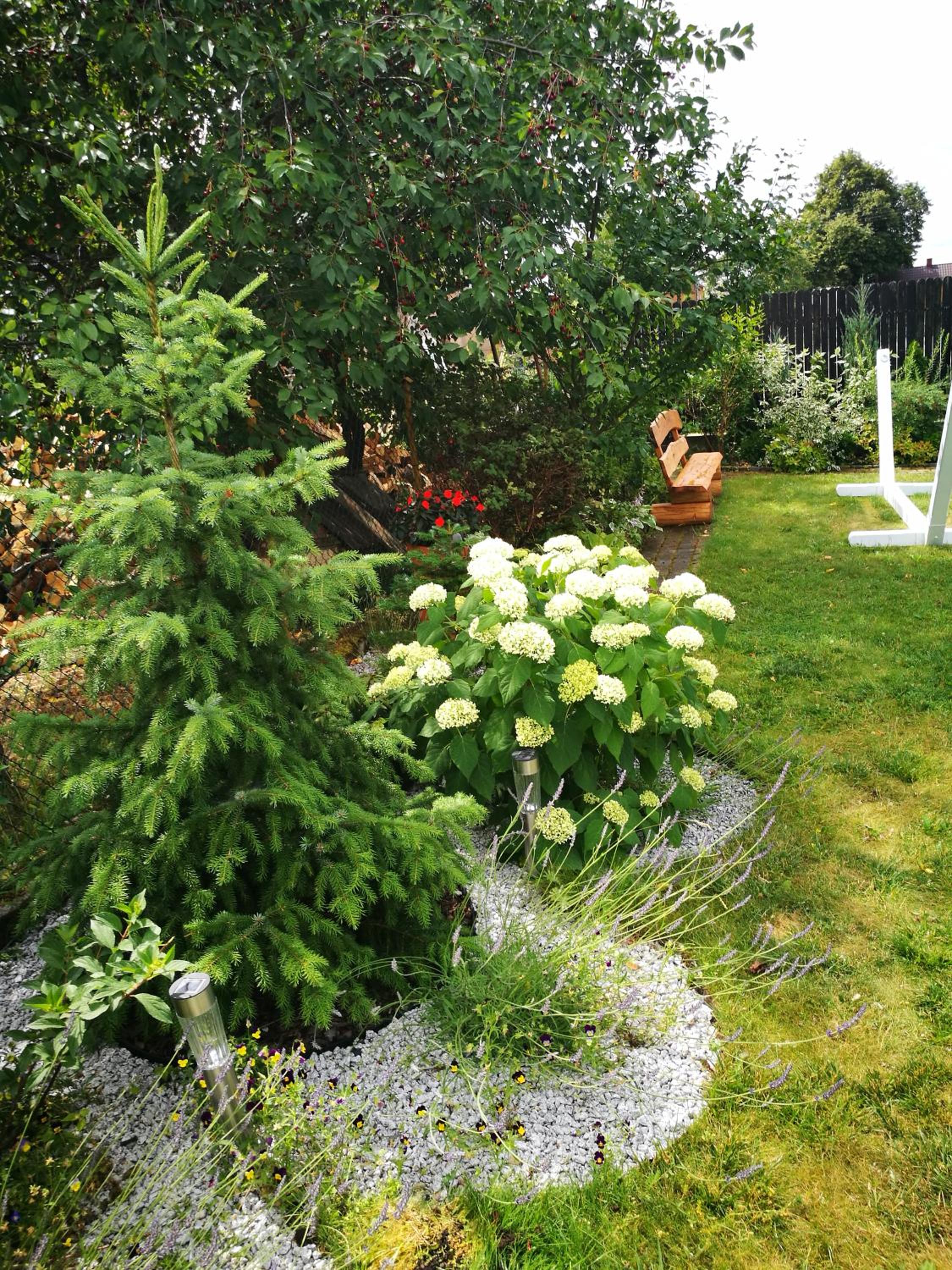 Photo 49