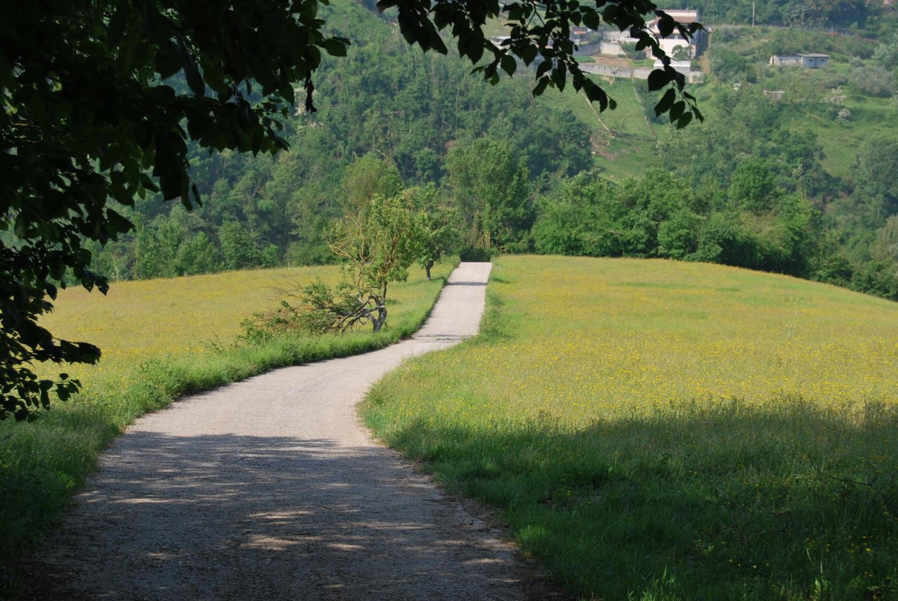 Agriturismo Cisogna