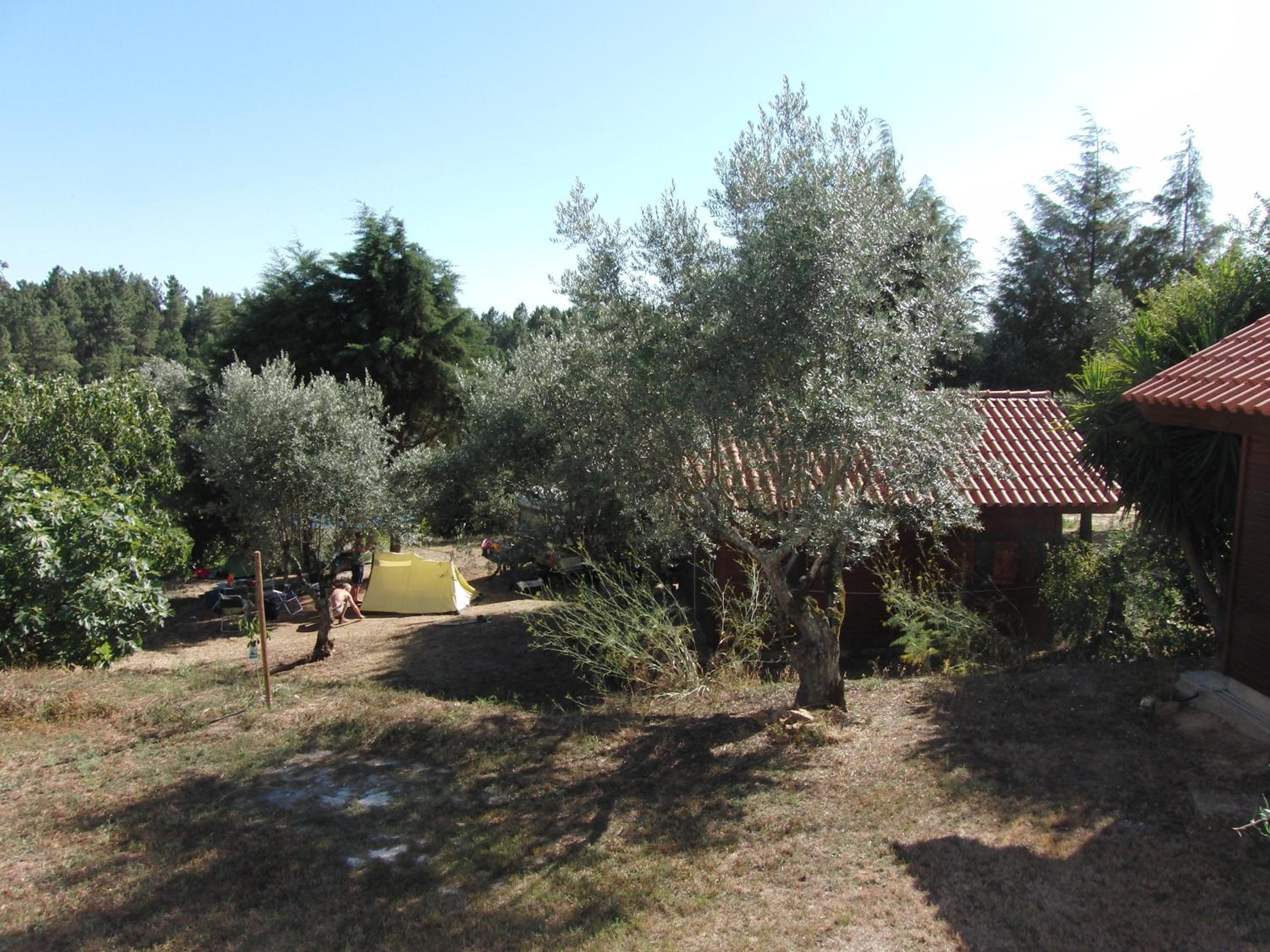 Redondo Lodges