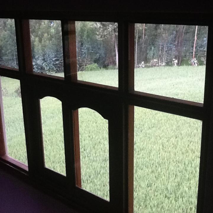 Photo 36