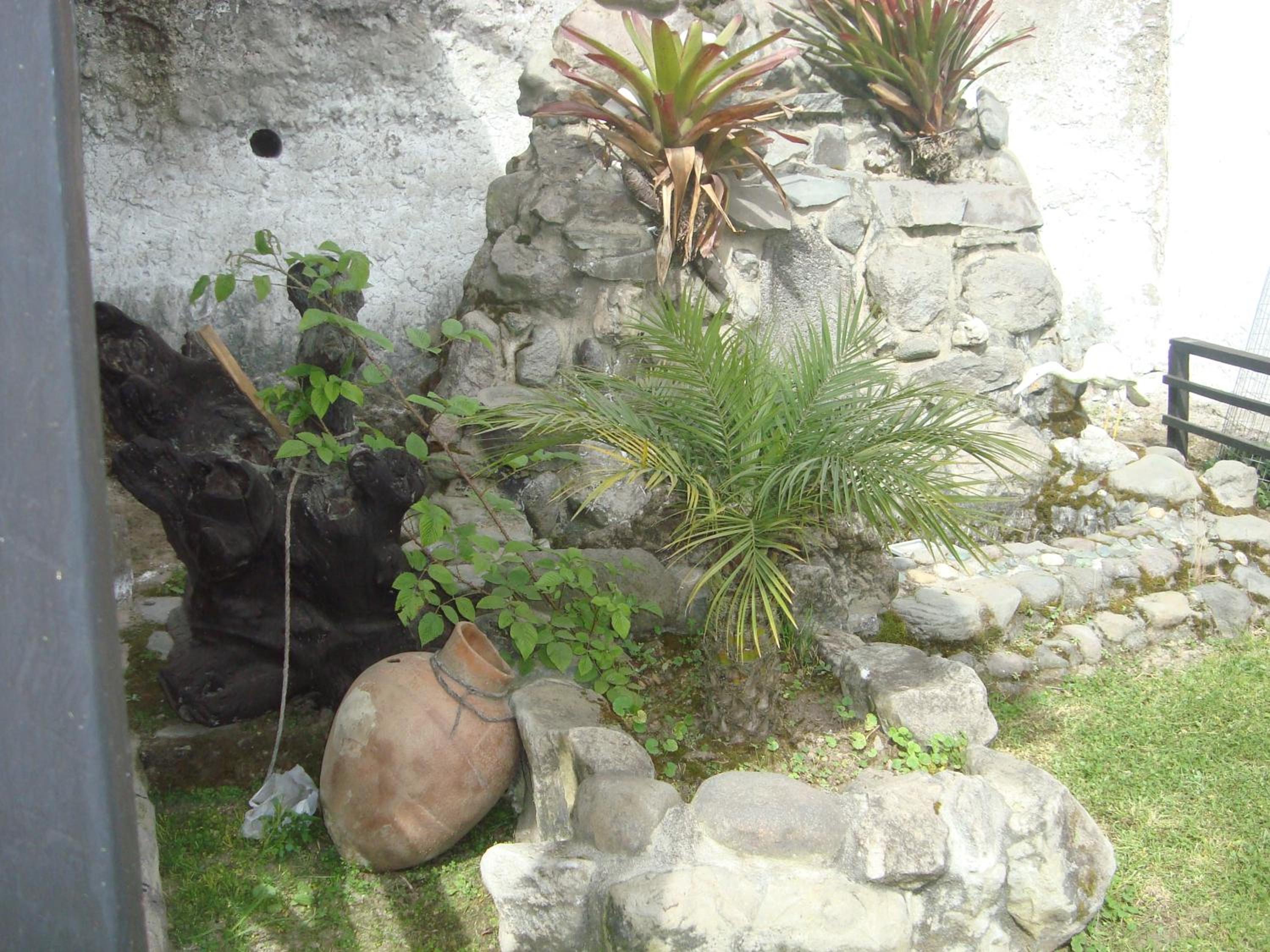 Photo 15