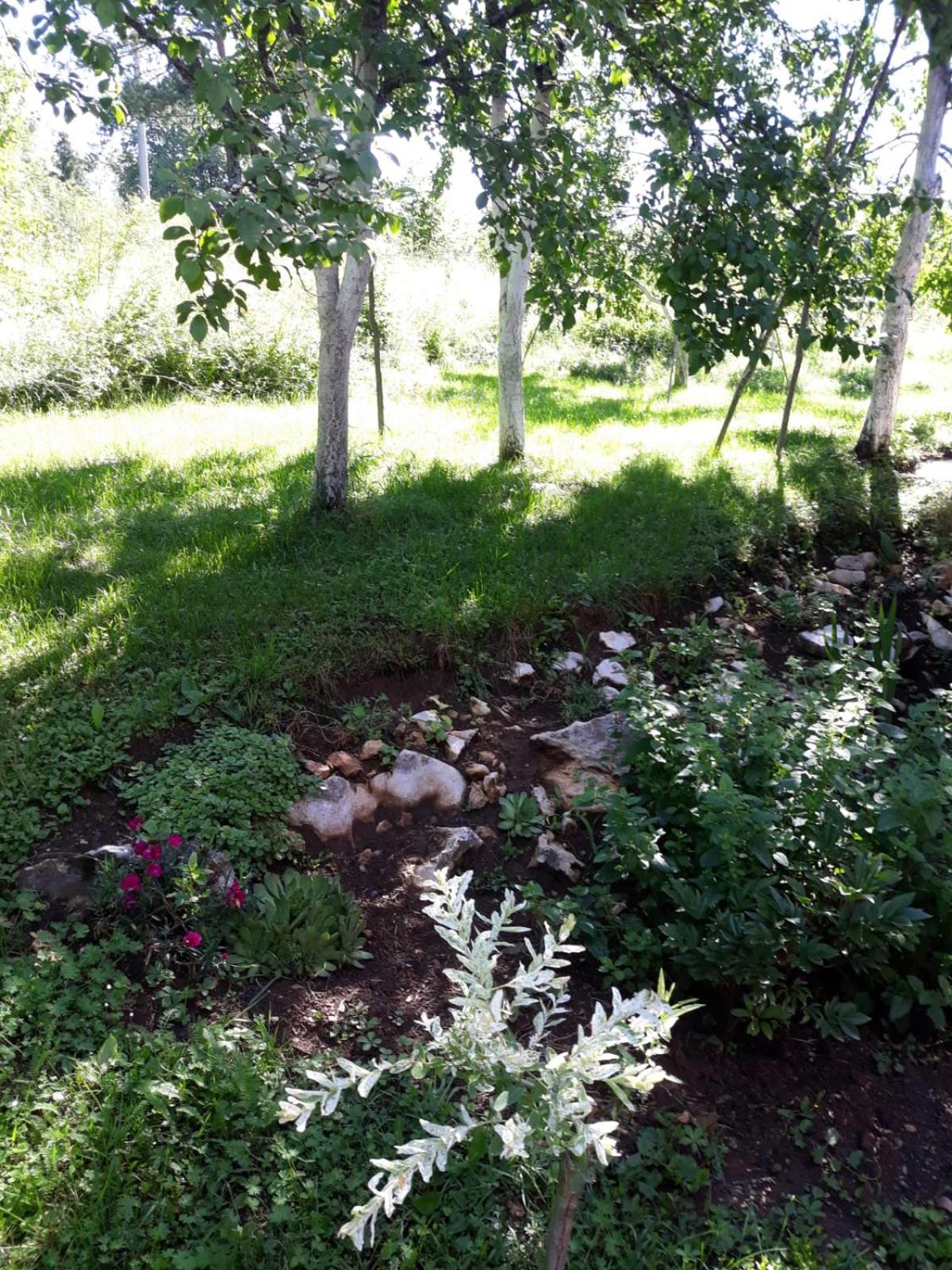 Photo 61