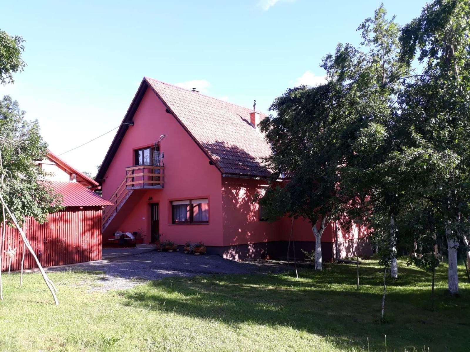Photo 50
