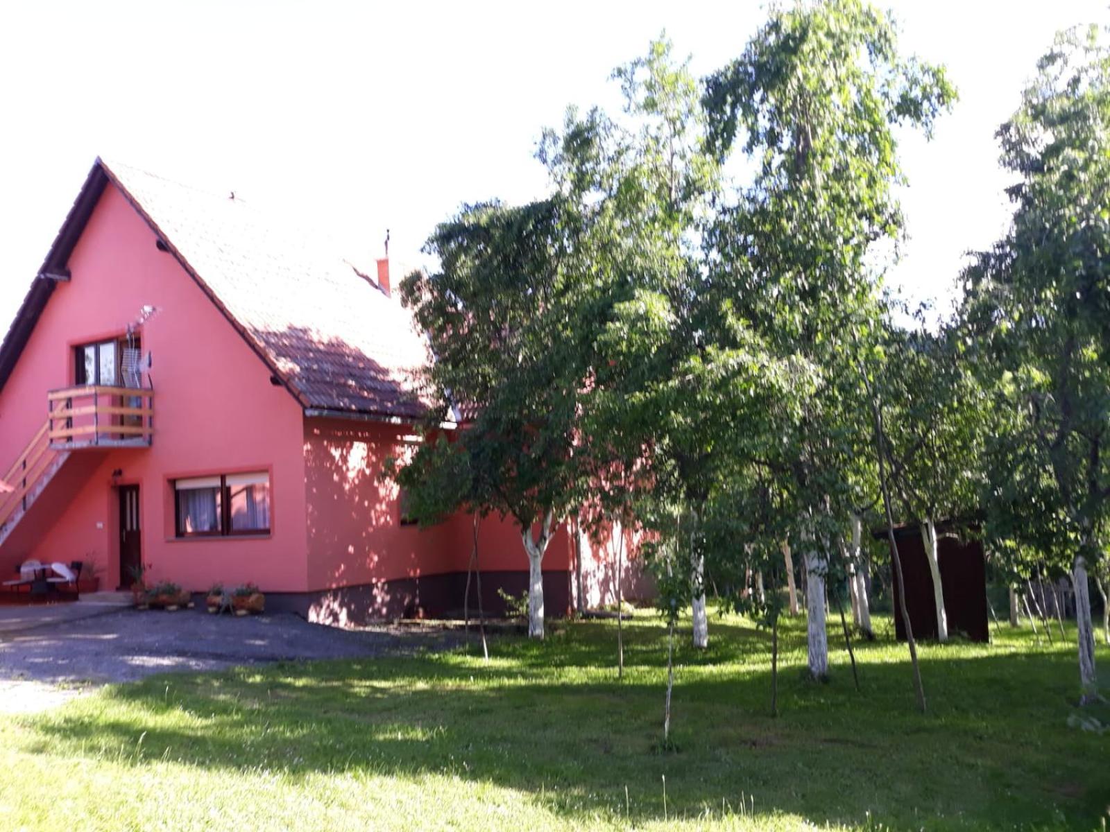 Photo 51
