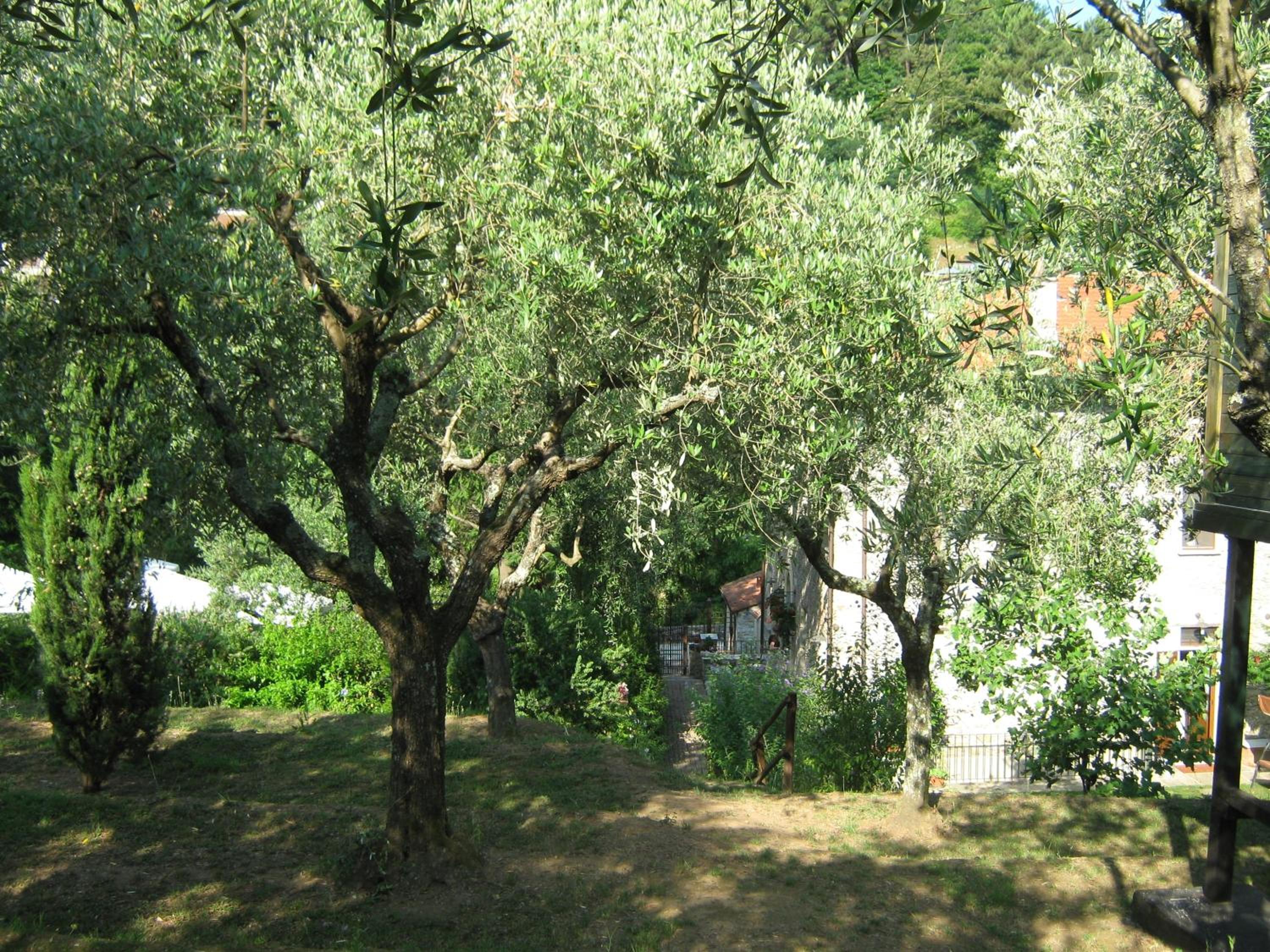 Photo 30
