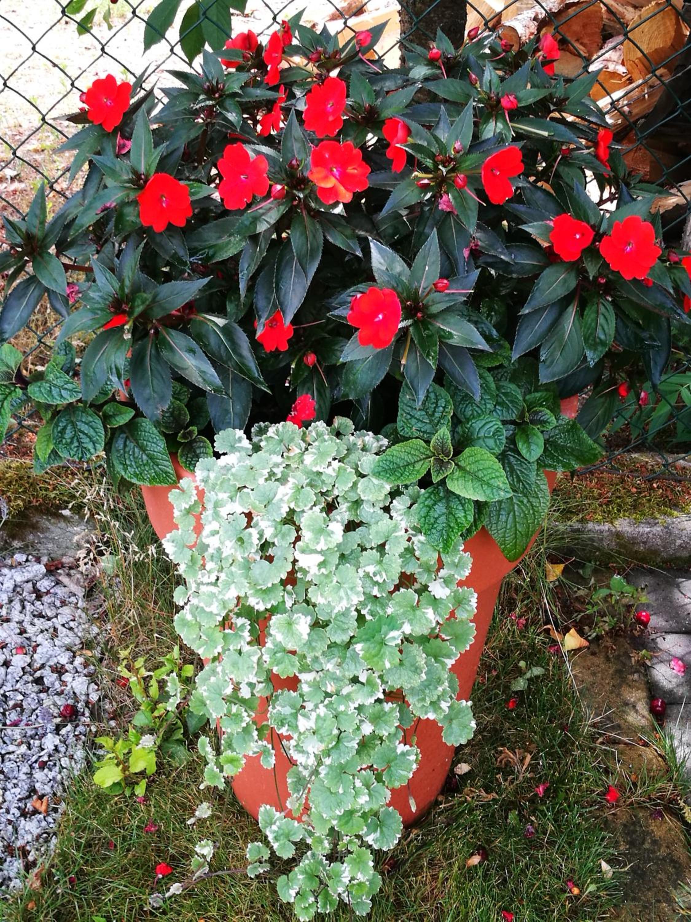 Photo 47