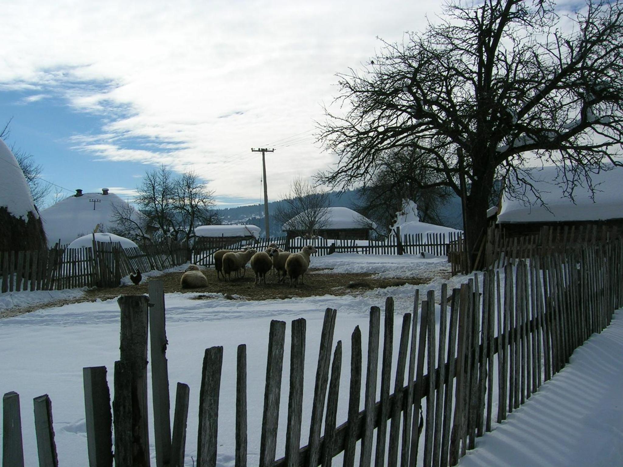 Photo 48