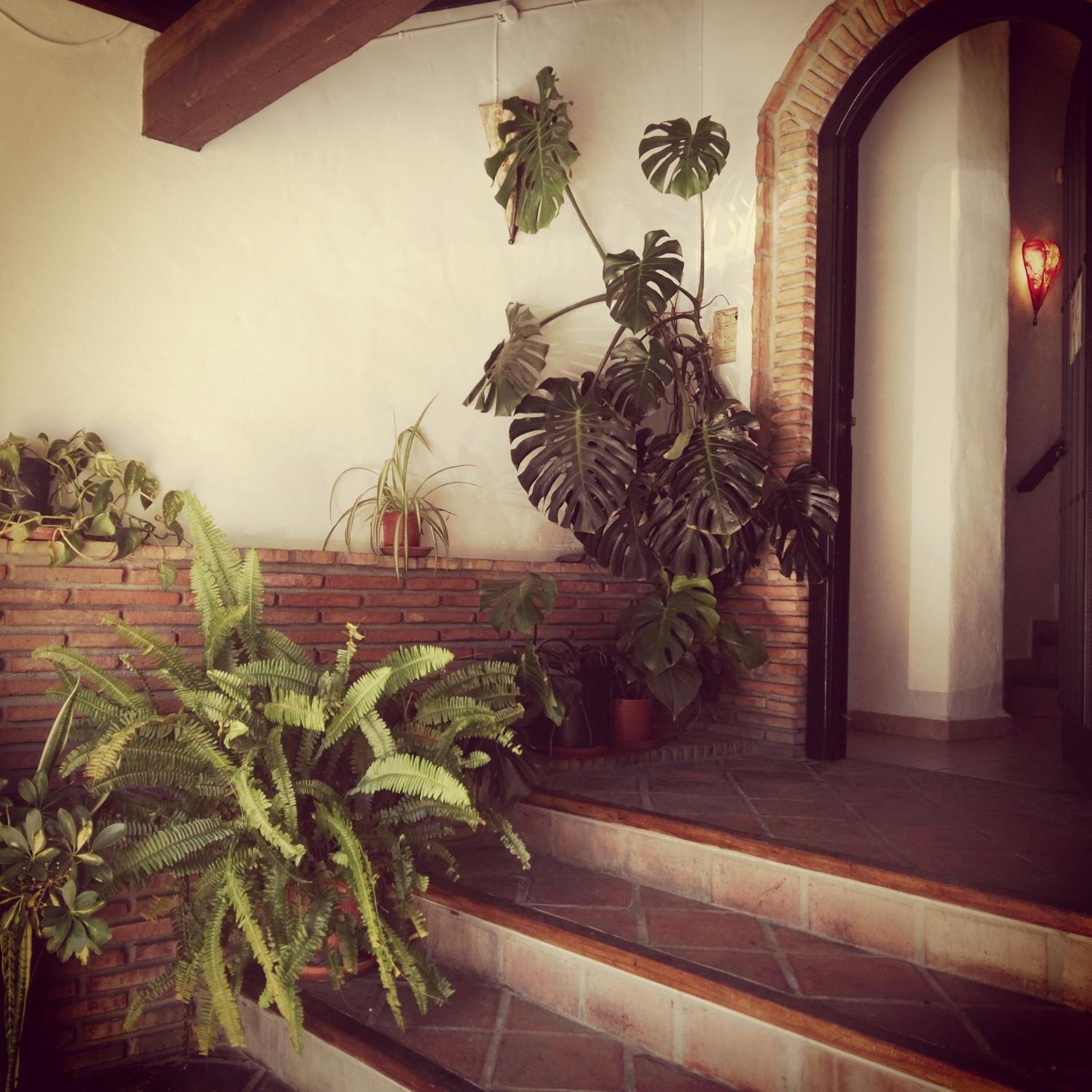 Casa Lareymora photo 2