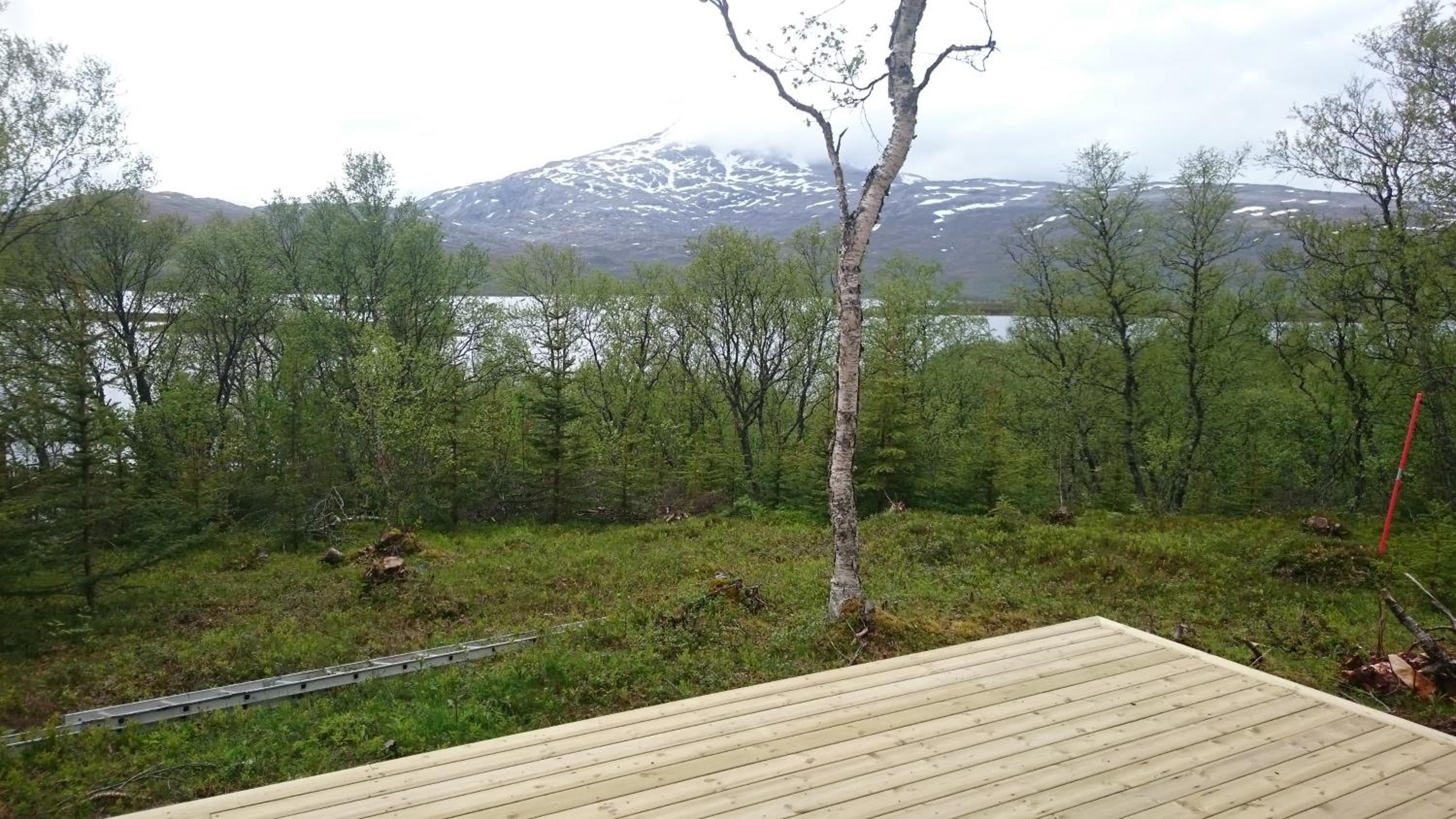 Photo 25