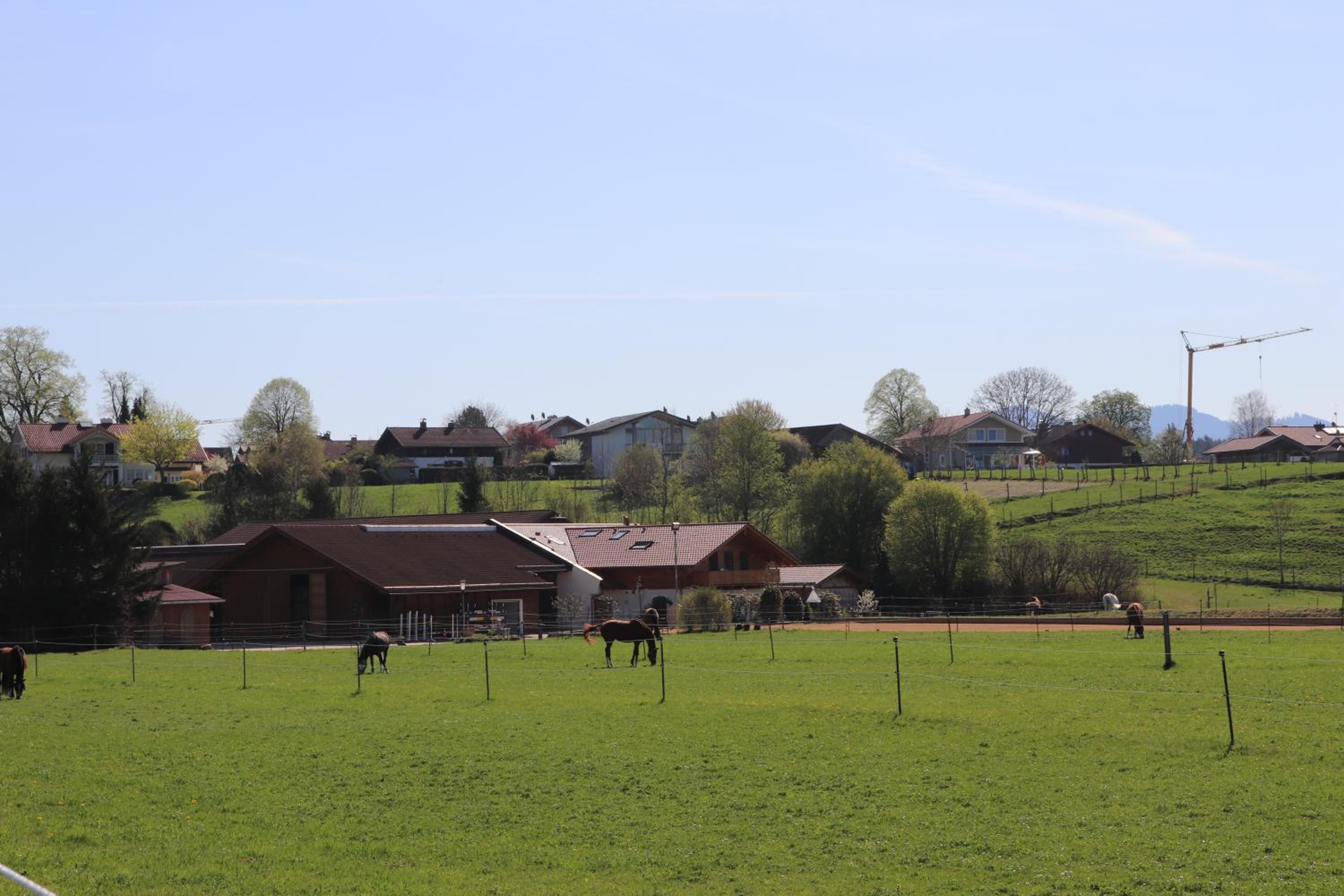 Ferienwohnung Pferdehof Pankratz - Property Image 14