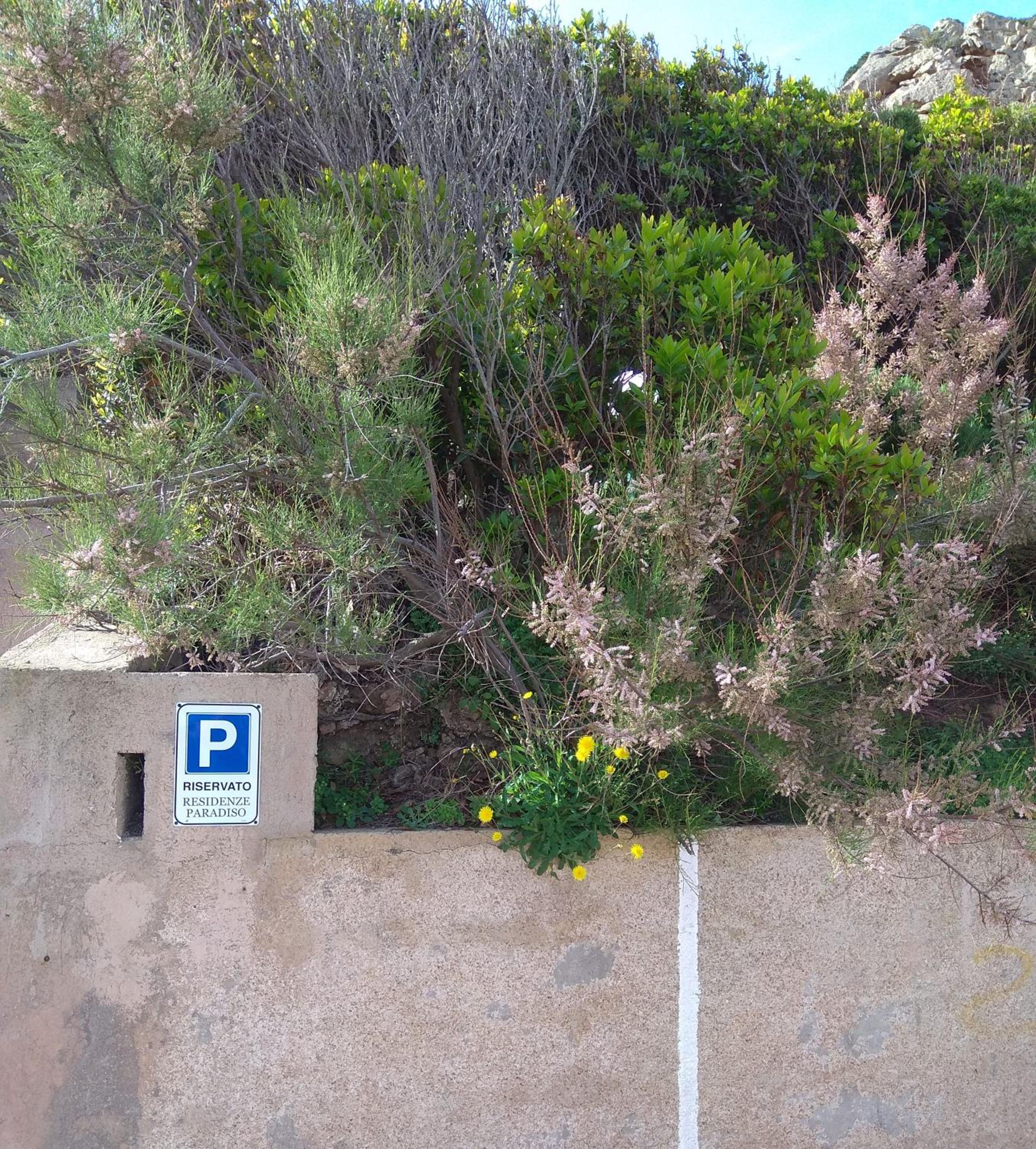 parking