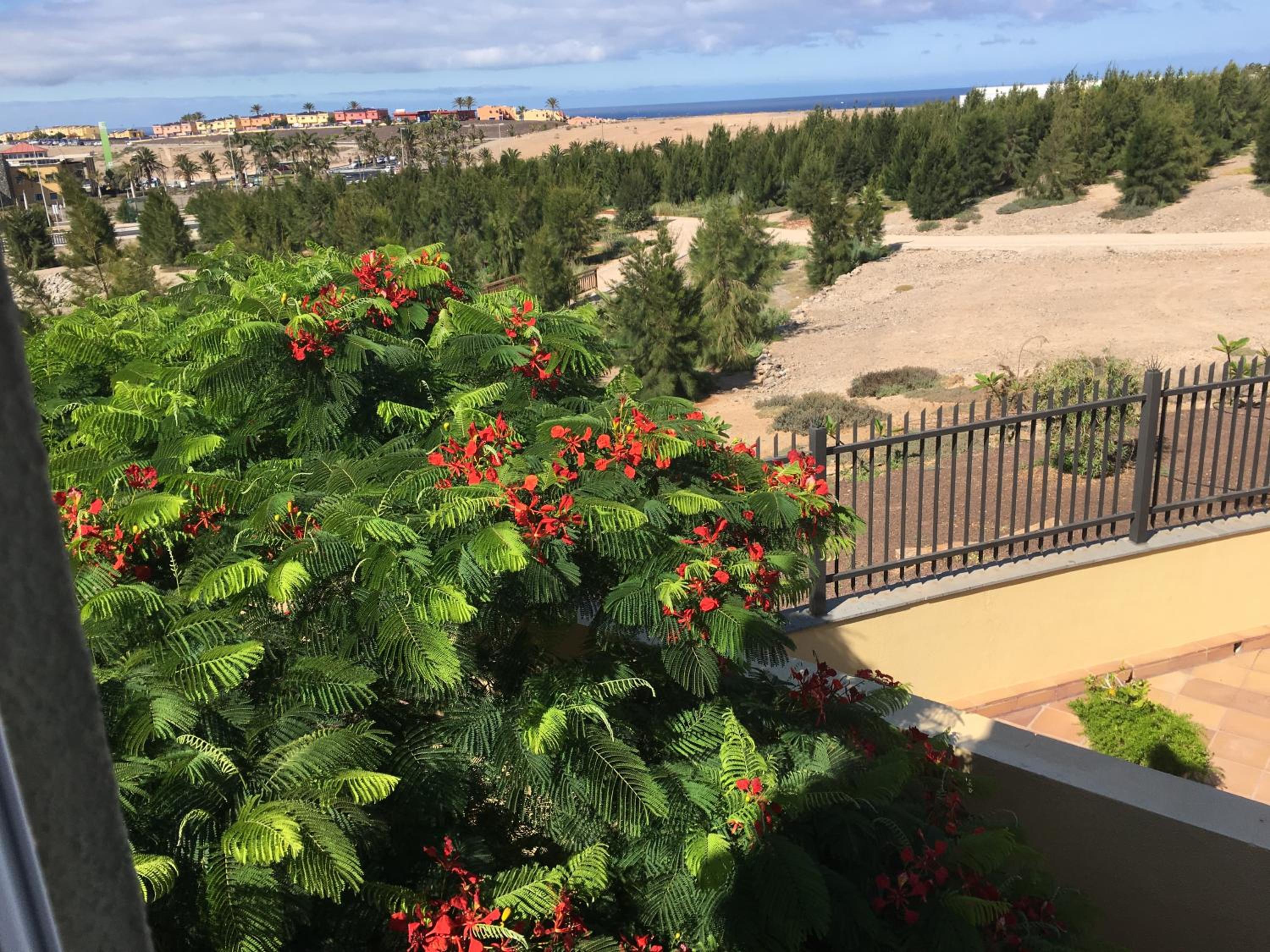 Vivienda Las Velas view 3