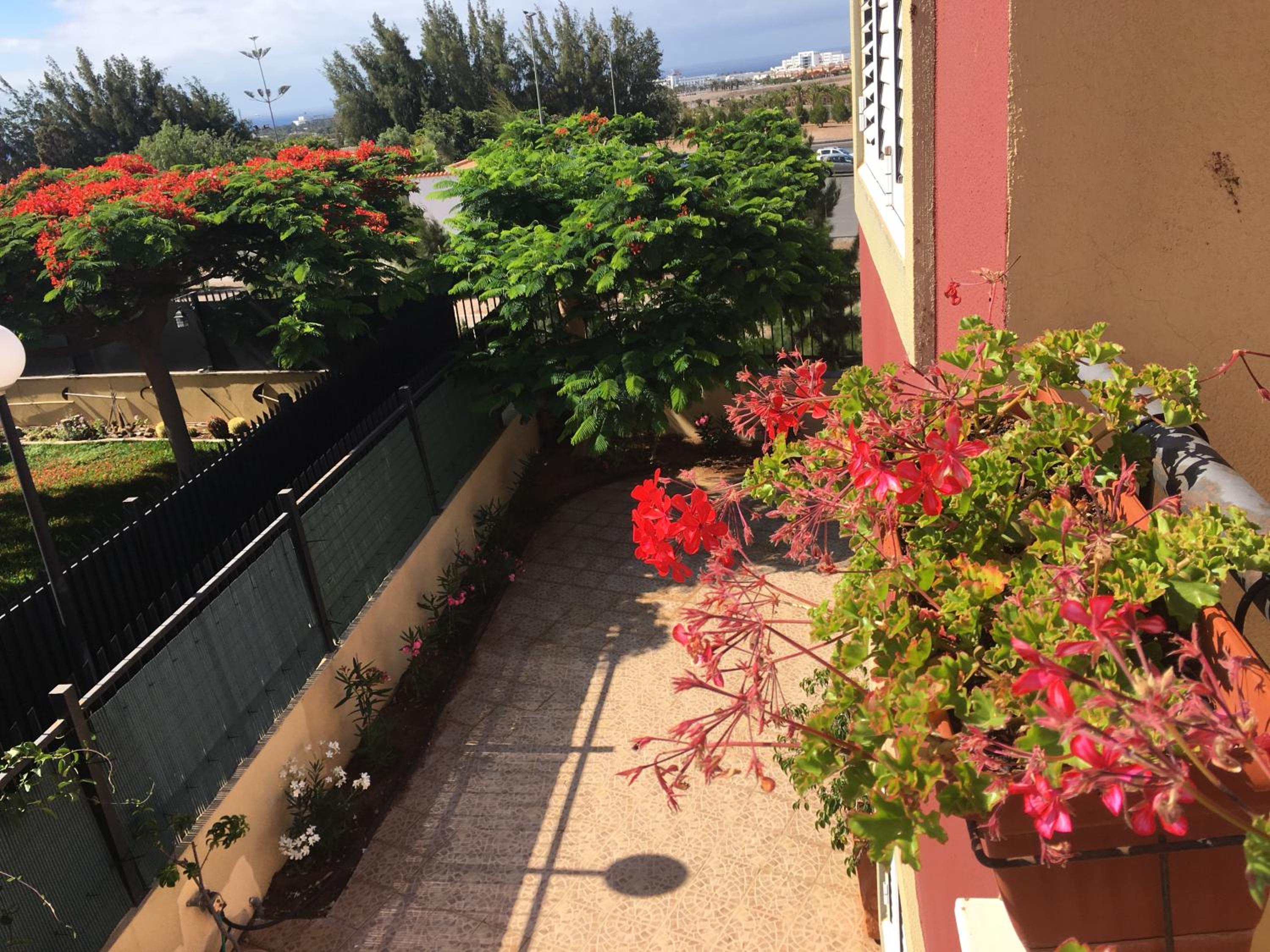 Vivienda Las Velas view 2