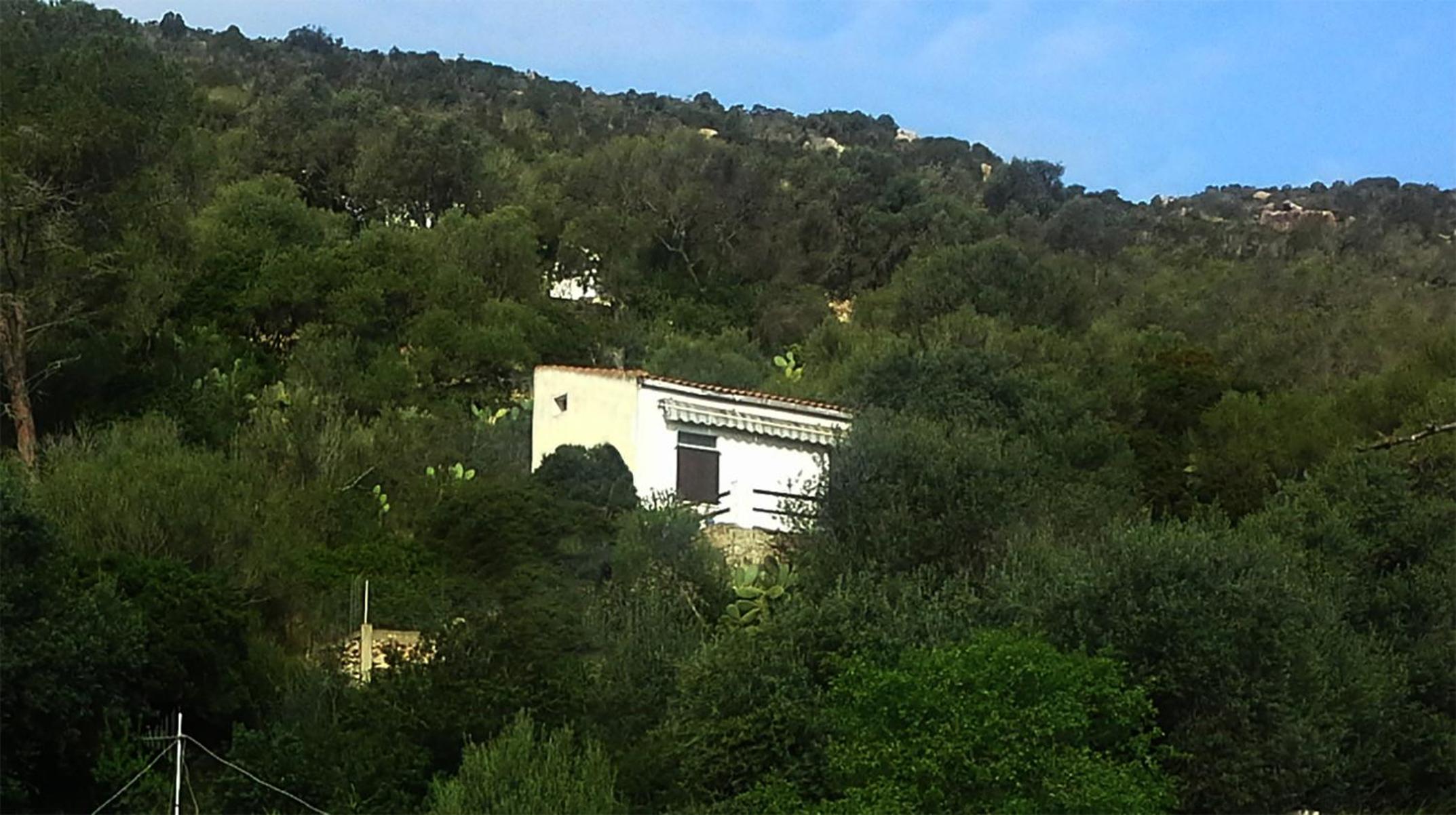 Photo 19