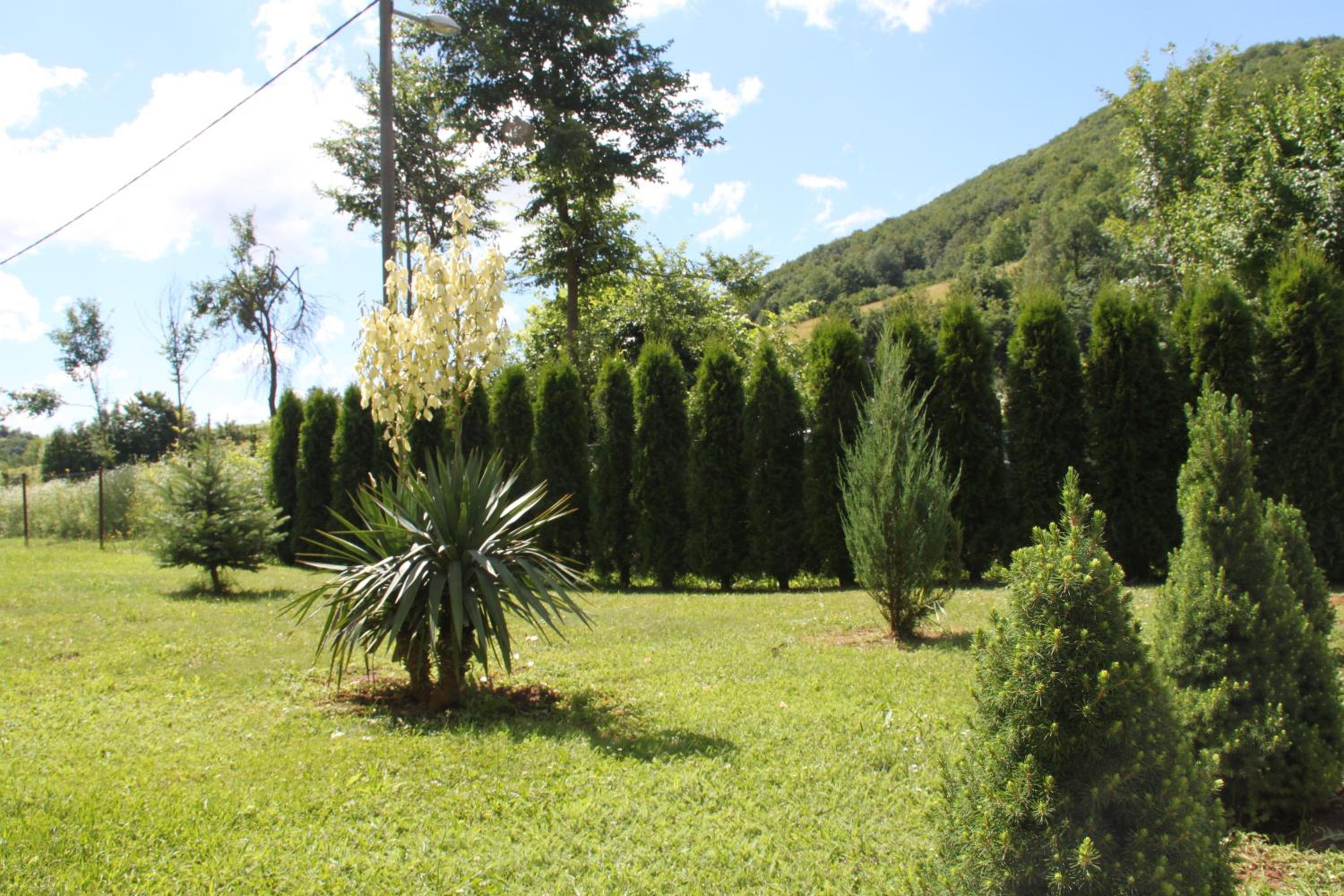 Holiday Home Dalija view 4